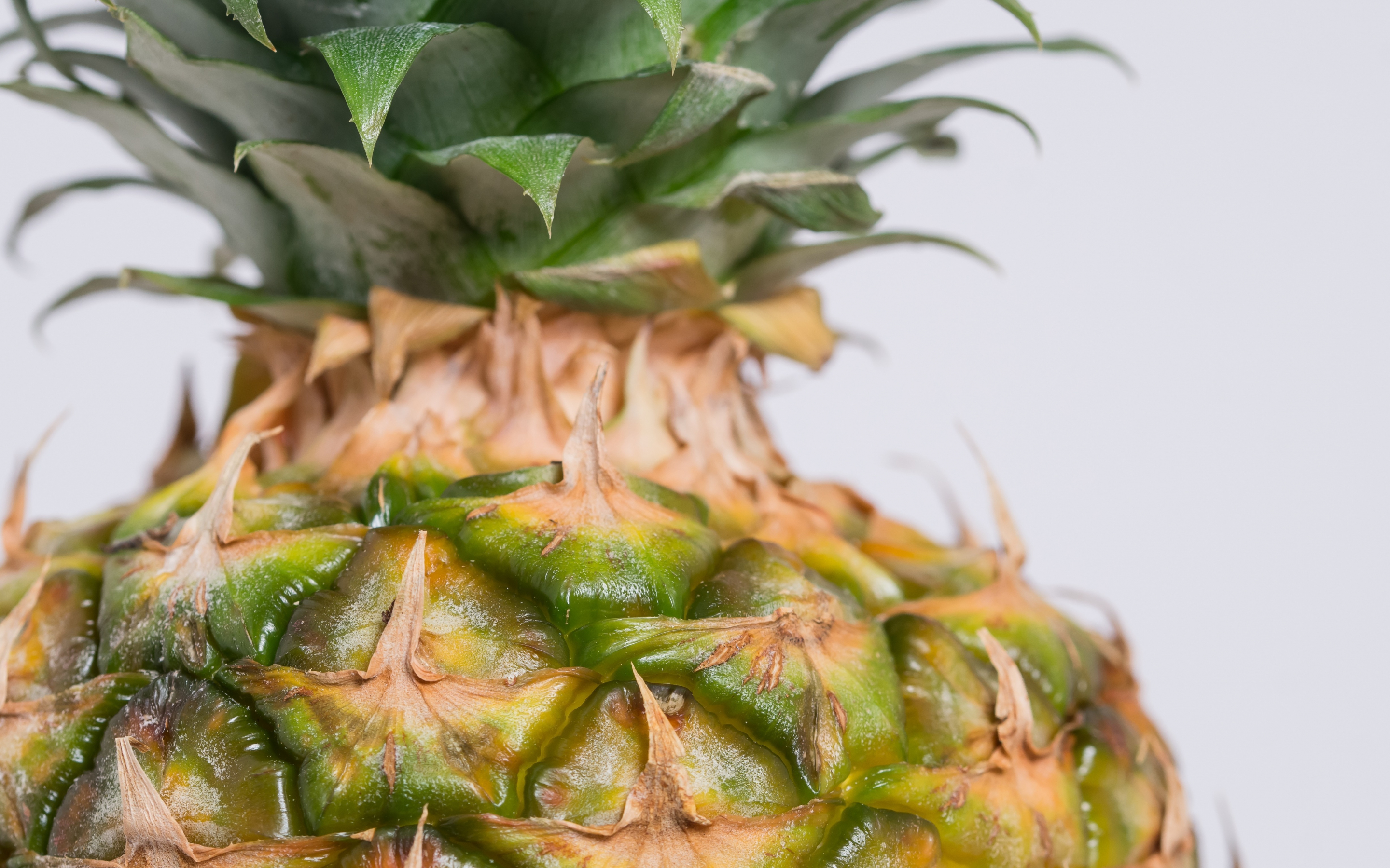 Close up, texture, fruits, pineapple, 2880x1800 wallpaper