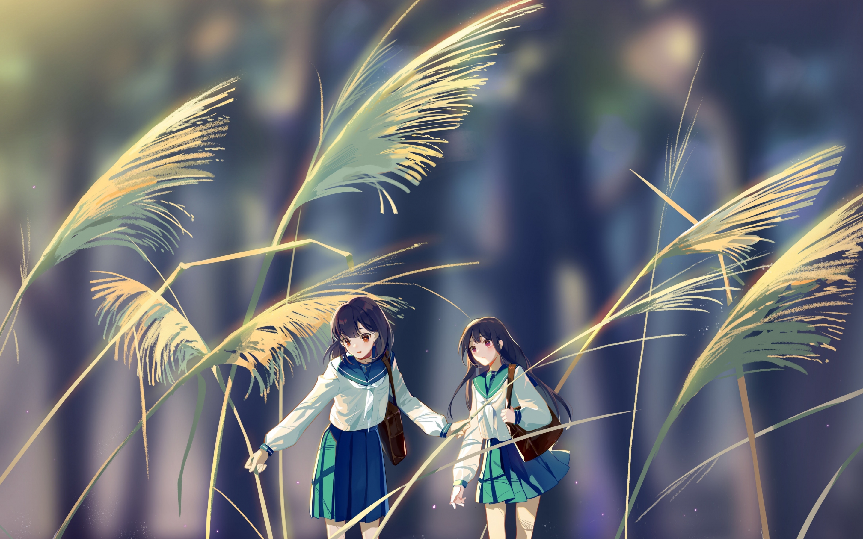 Art, dwarf, grass, anime girls, 2880x1800 wallpaper