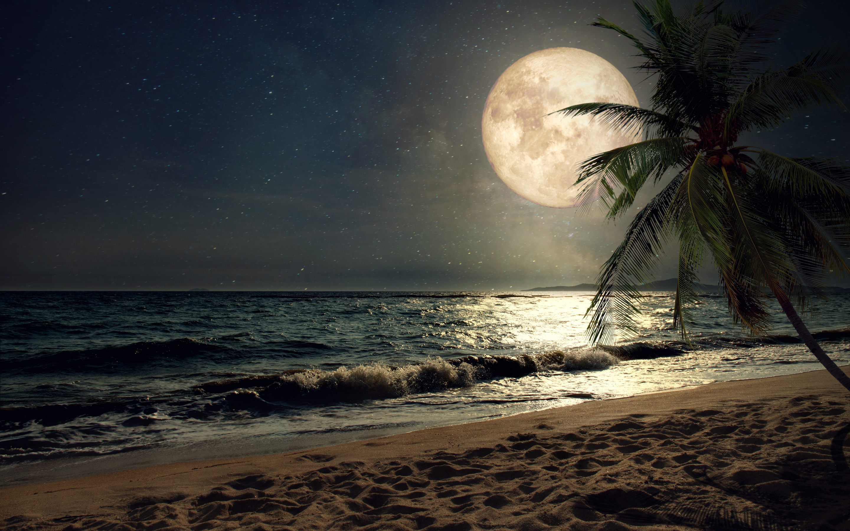 Beach, sand, night's moon, palm tree, nature, 2880x1800 wallpaper