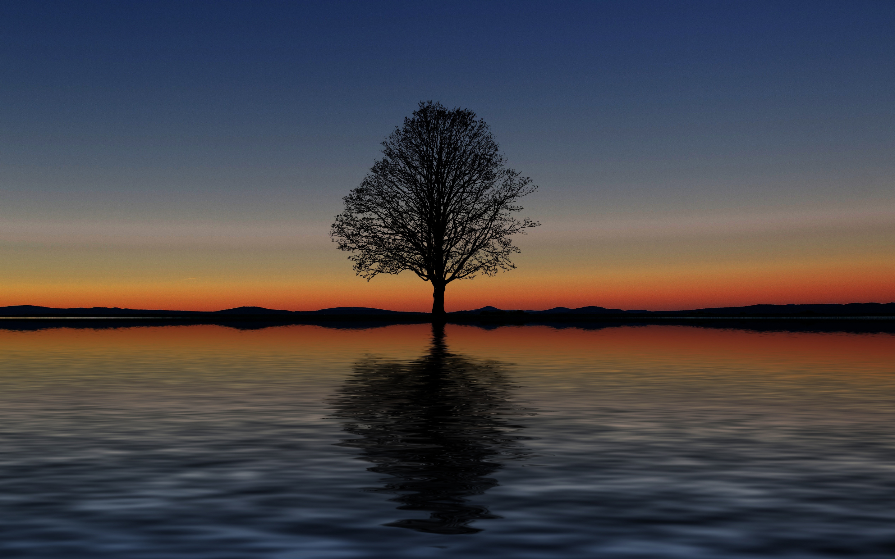 Sunset, silhouette, tree, lake, digital art, 2880x1800 wallpaper