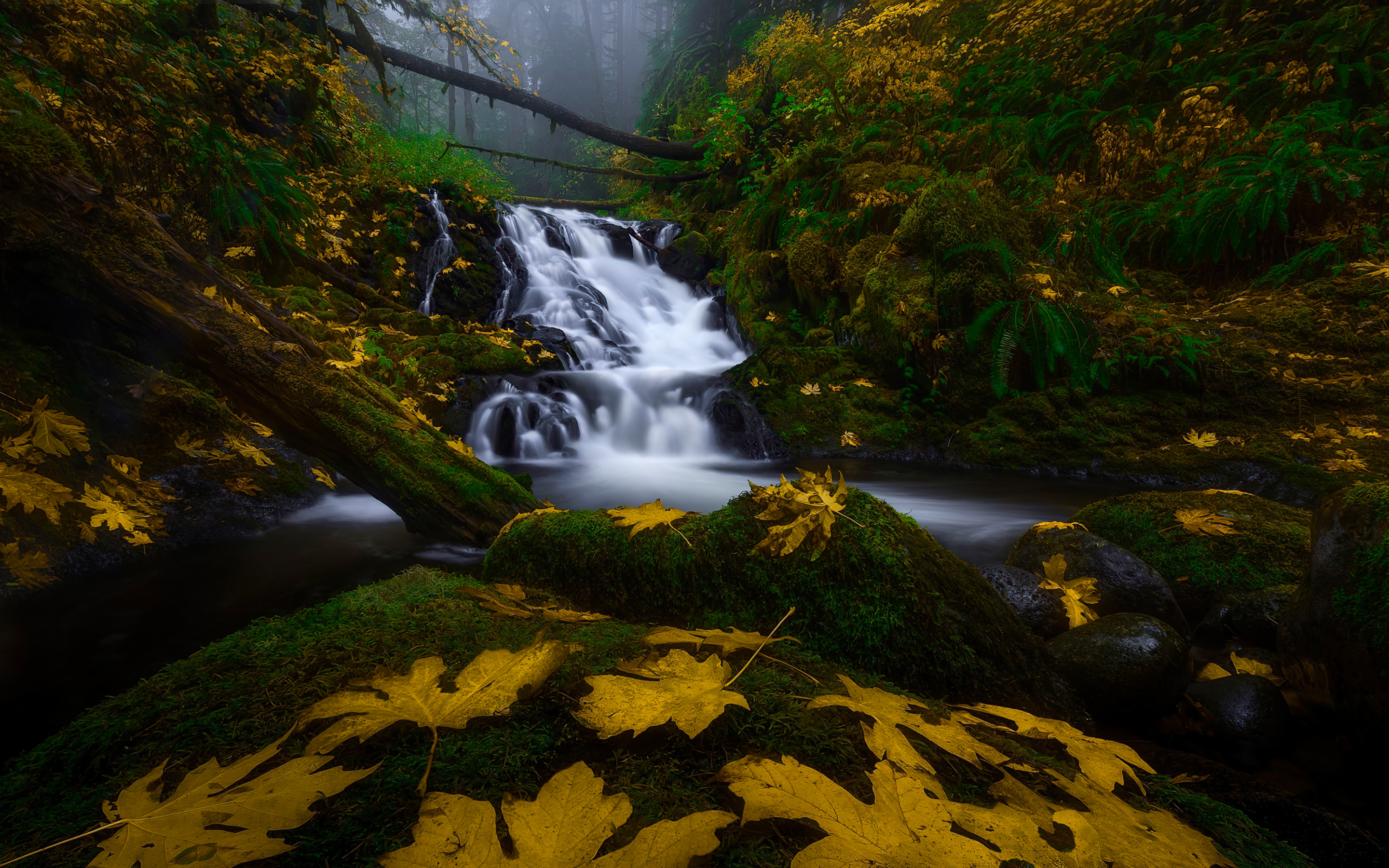 Columbia River Gorge, forest, nature, 2880x1800 wallpaper