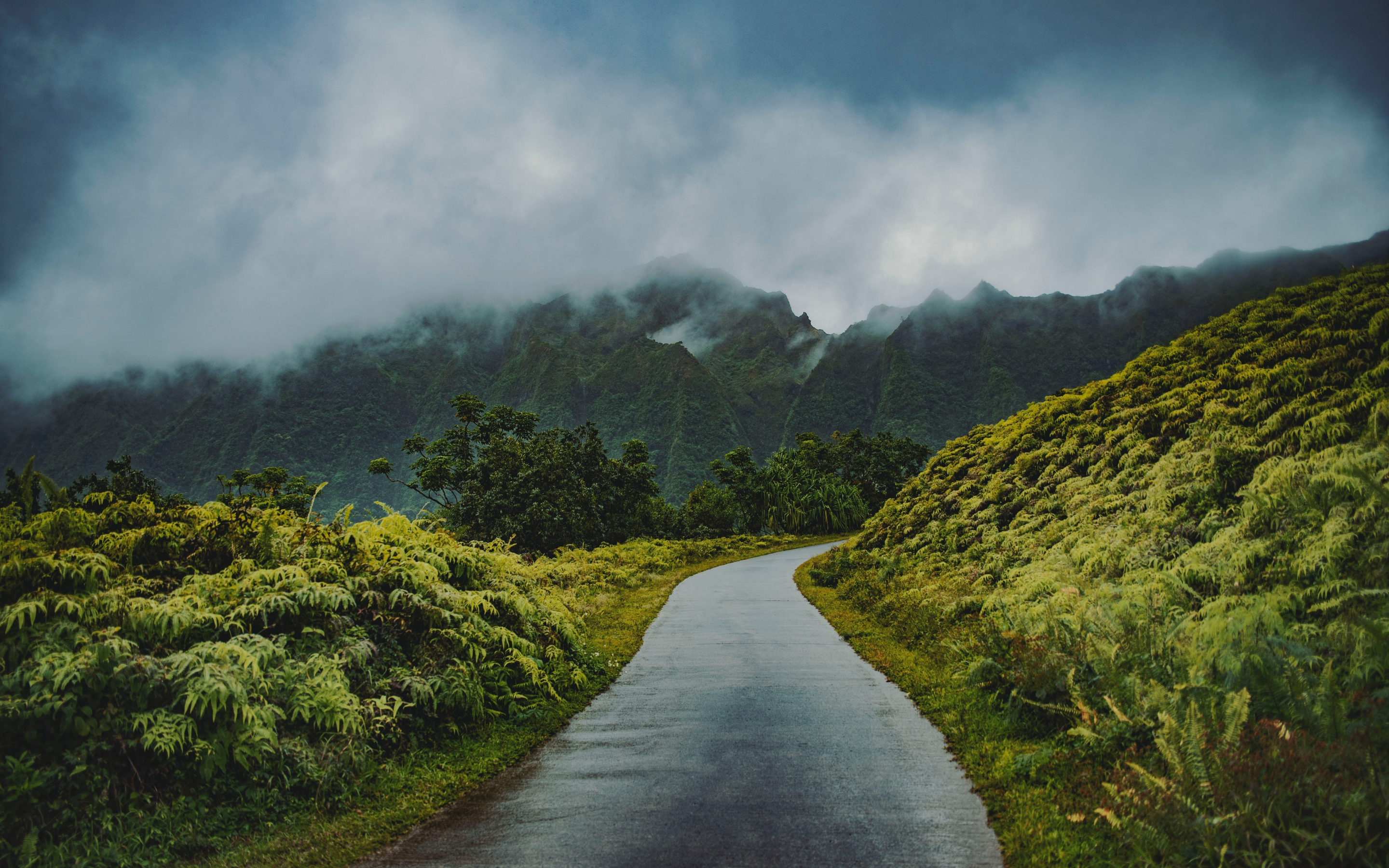 Road through green hills, mist, nature, 2880x1800 wallpaper