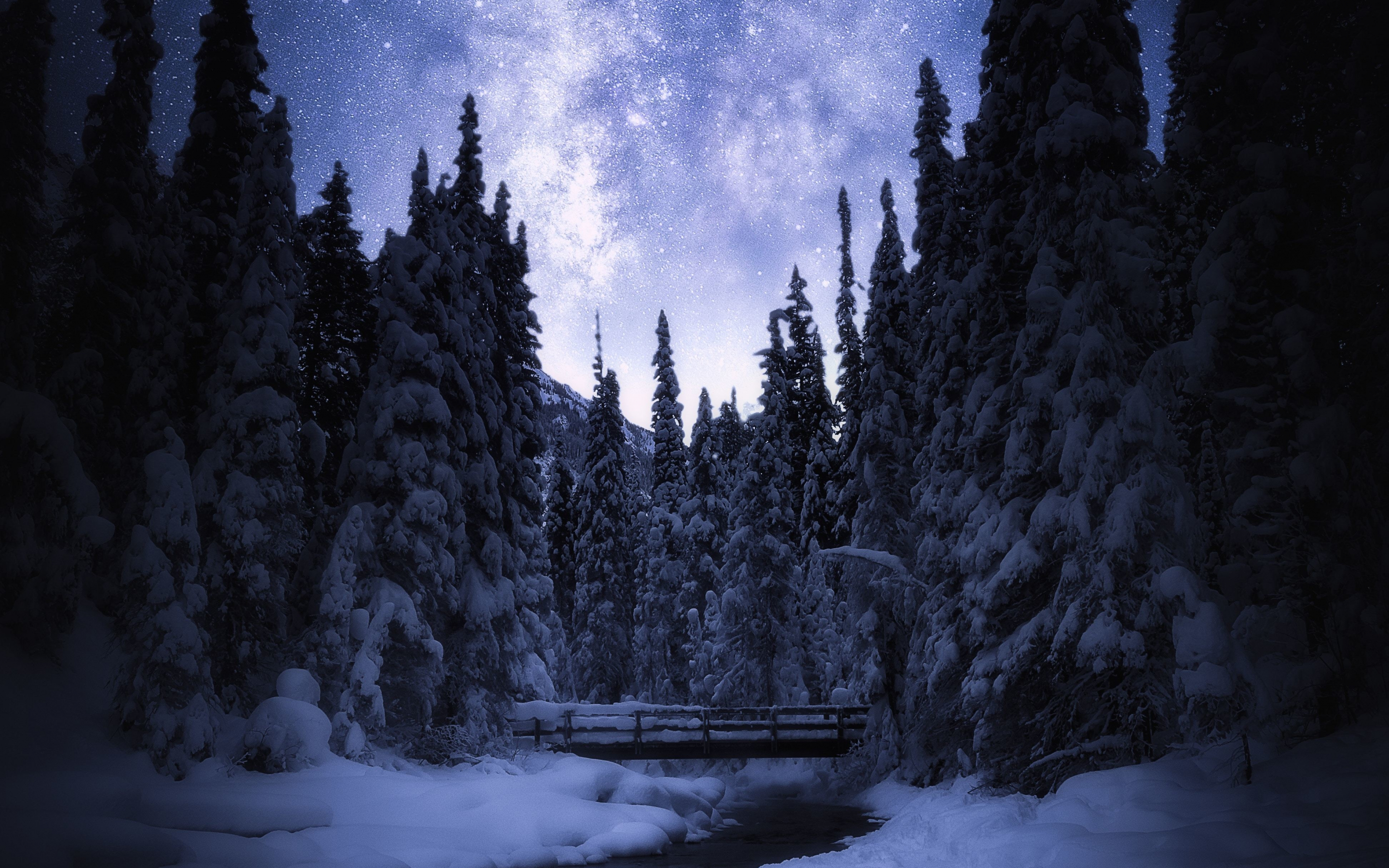 Banff National Park, Canada, night, trees, forest, bridge, 2880x1800 wallpaper
