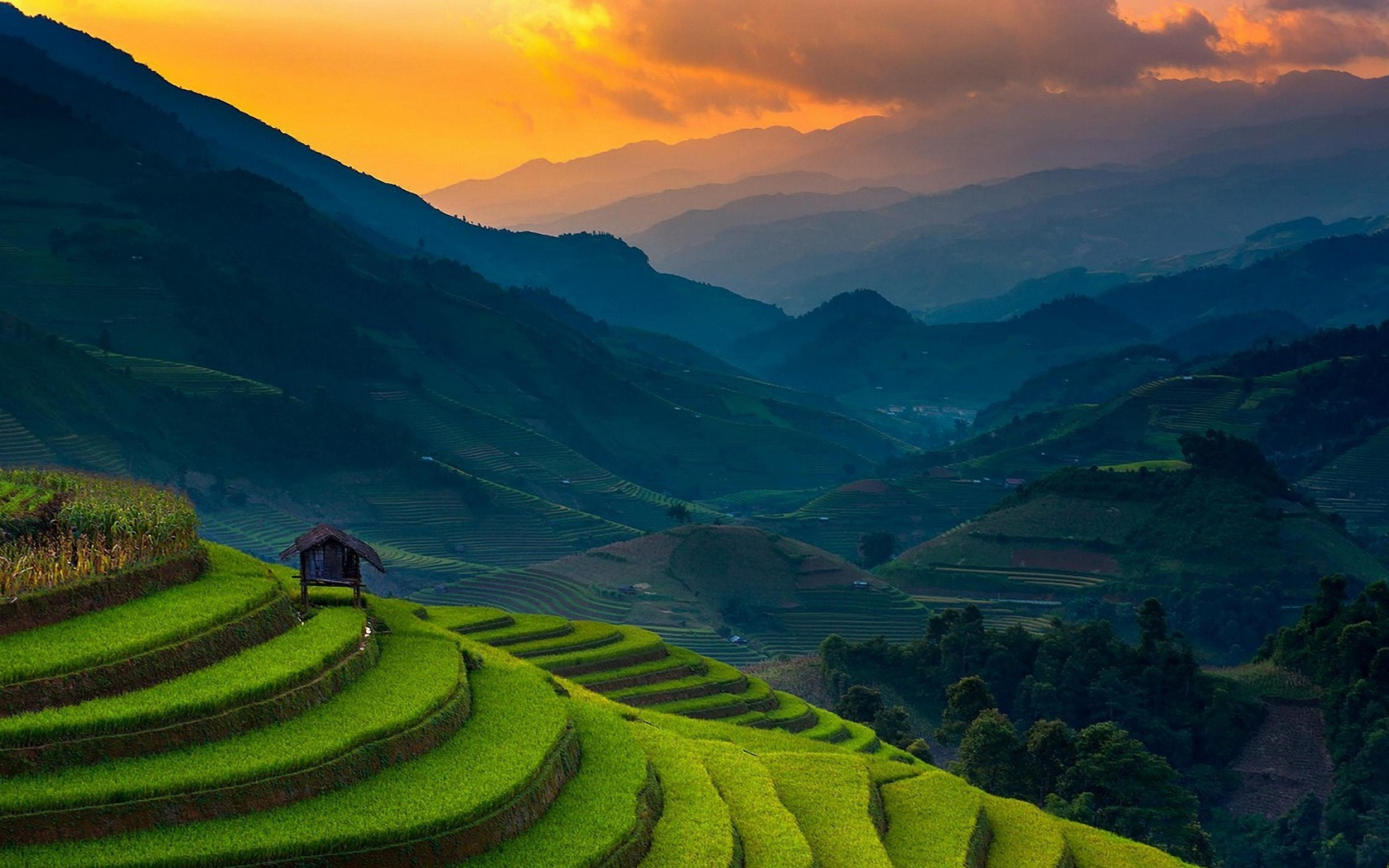 Rice farms, landscape, horizon, mountains, Philippines, 2880x1800 wallpaper