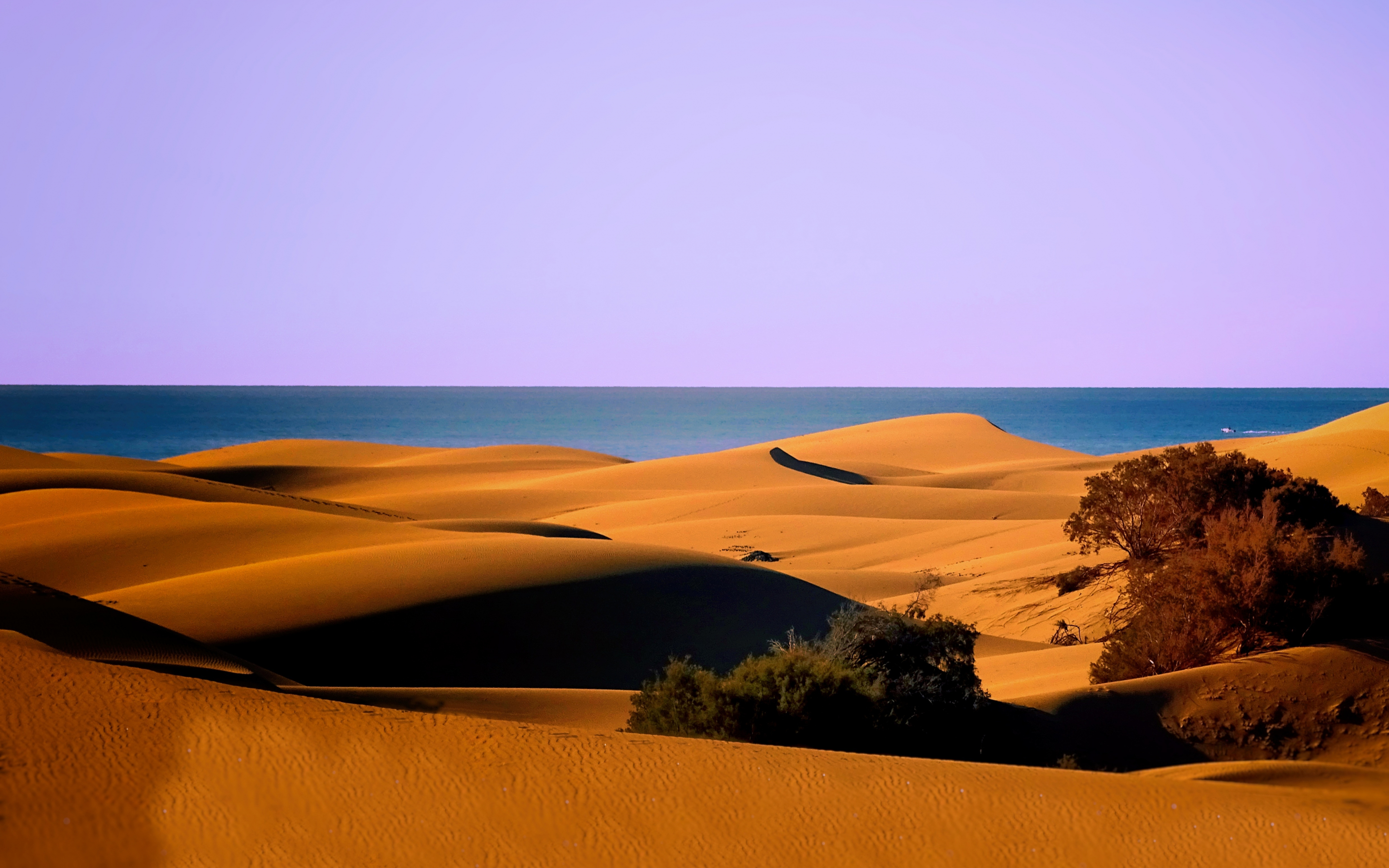 Dunes, desert, coast, sea, nature, 2880x1800 wallpaper