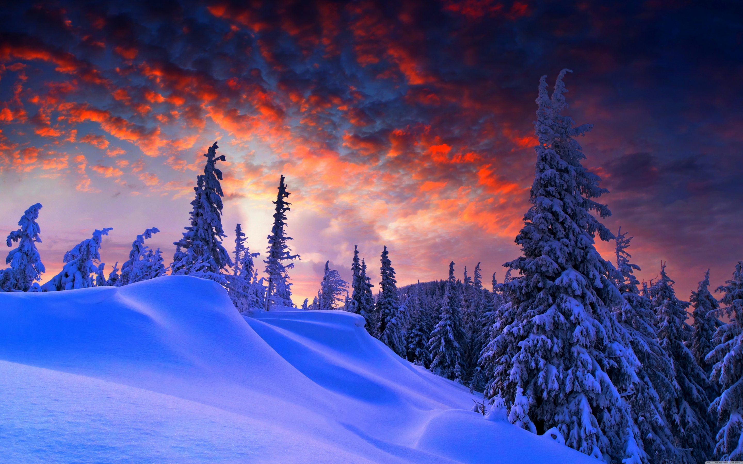 Winter evening, beautiful sky, trees, clouds, 2880x1800 wallpaper