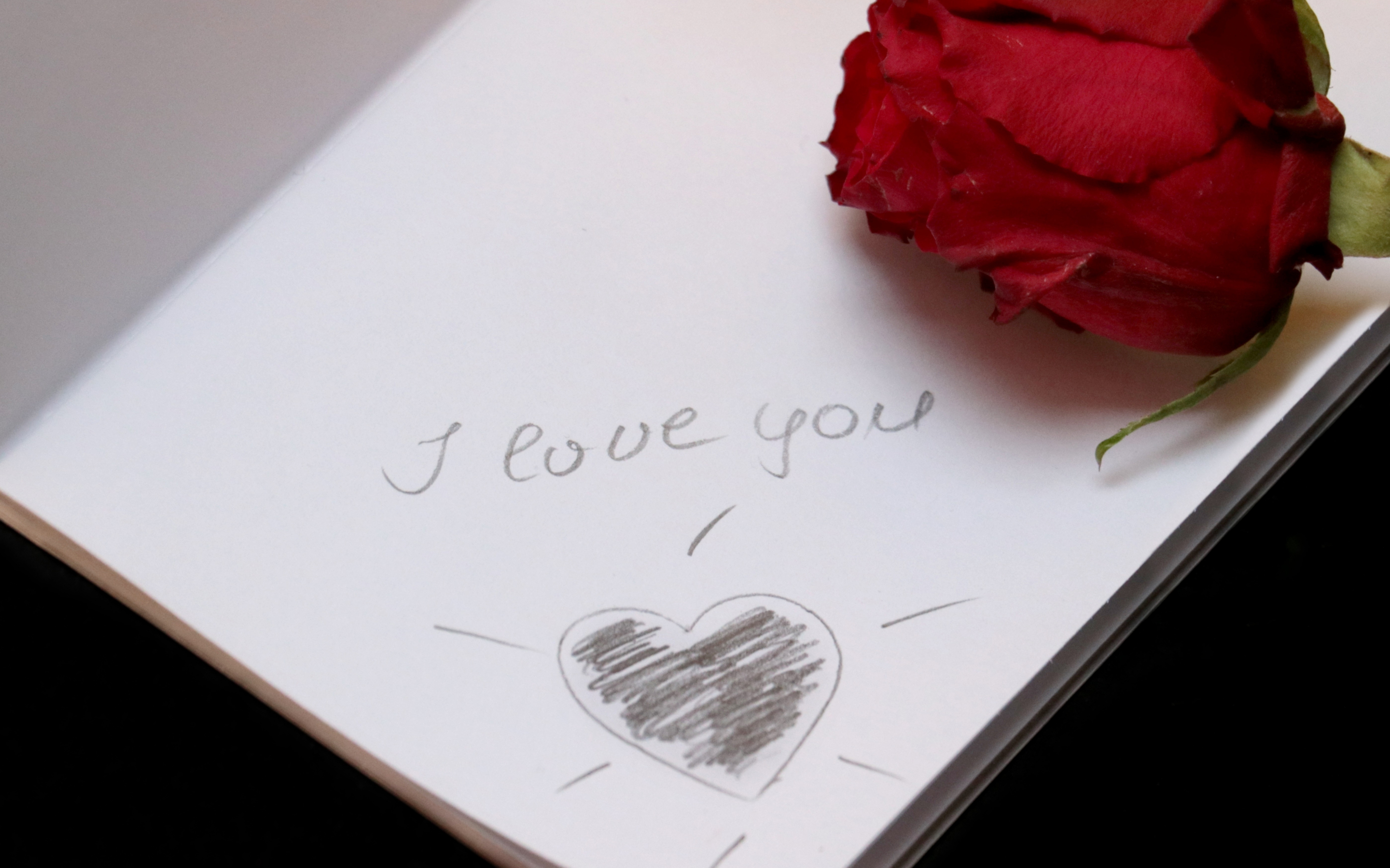 Note book, love, typography, rose, 2880x1800 wallpaper