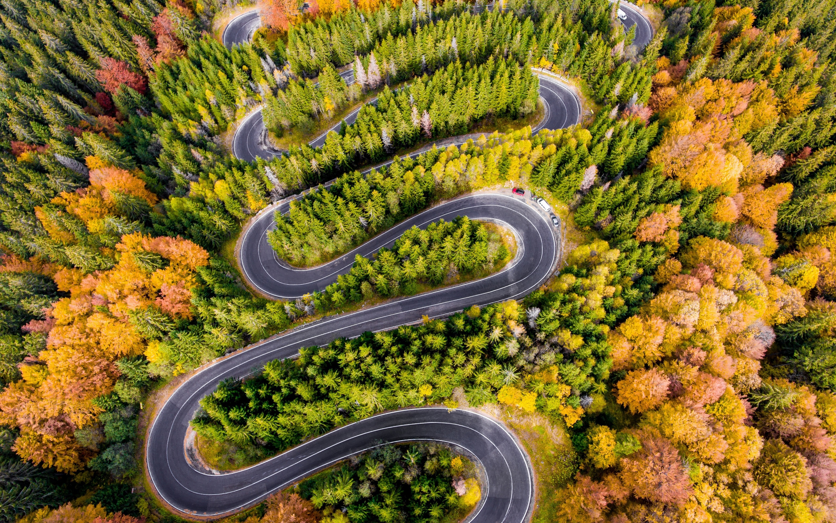 Winding road, highway, aerial view, forest, 2880x1800 wallpaper
