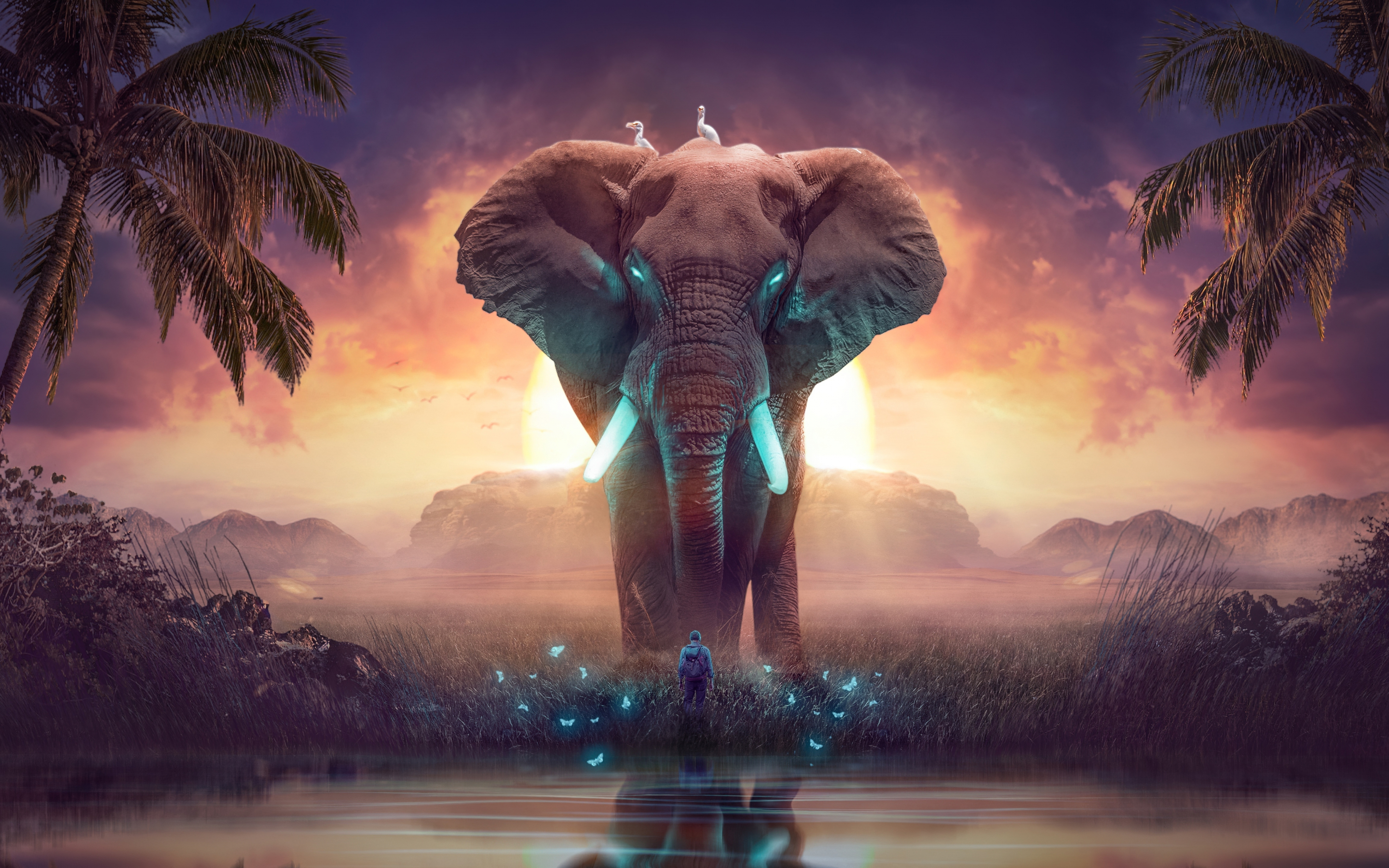 The Elephant of dreamland, wild animals, fantasy, 2880x1800 wallpaper