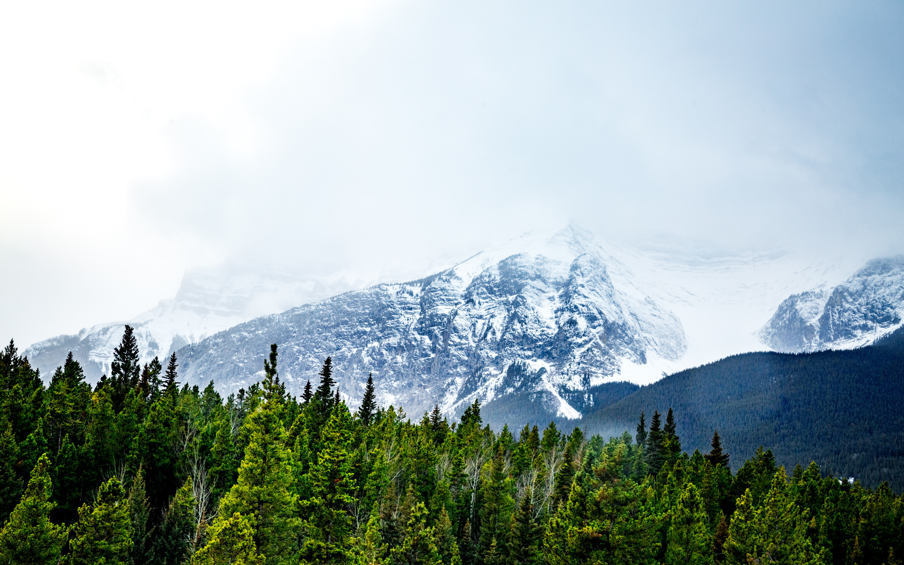 Snow mountains, trees, fog, nature, 2880x1800 wallpaper