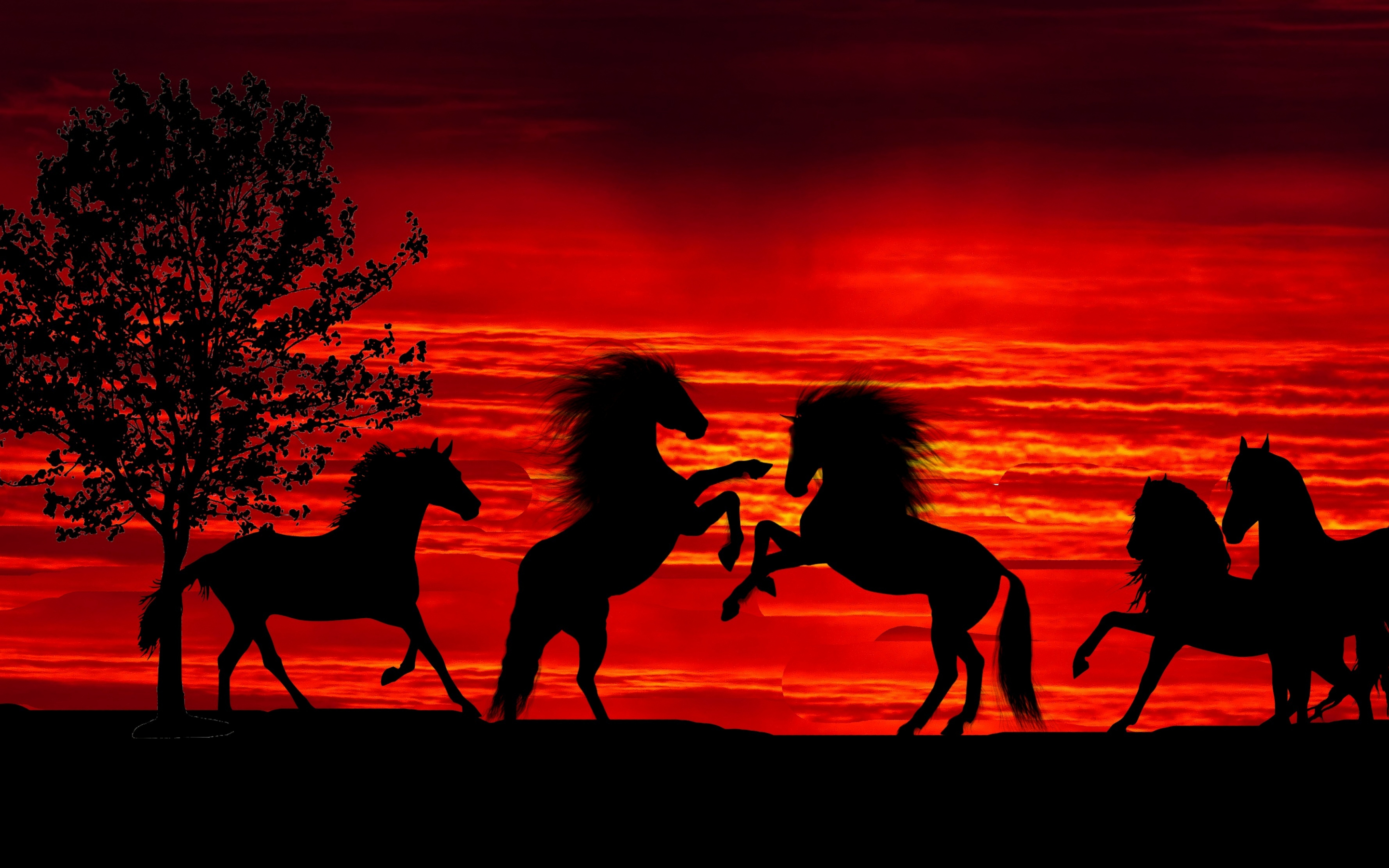 Sunset, silhouette, horses, herd, 2880x1800 wallpaper
