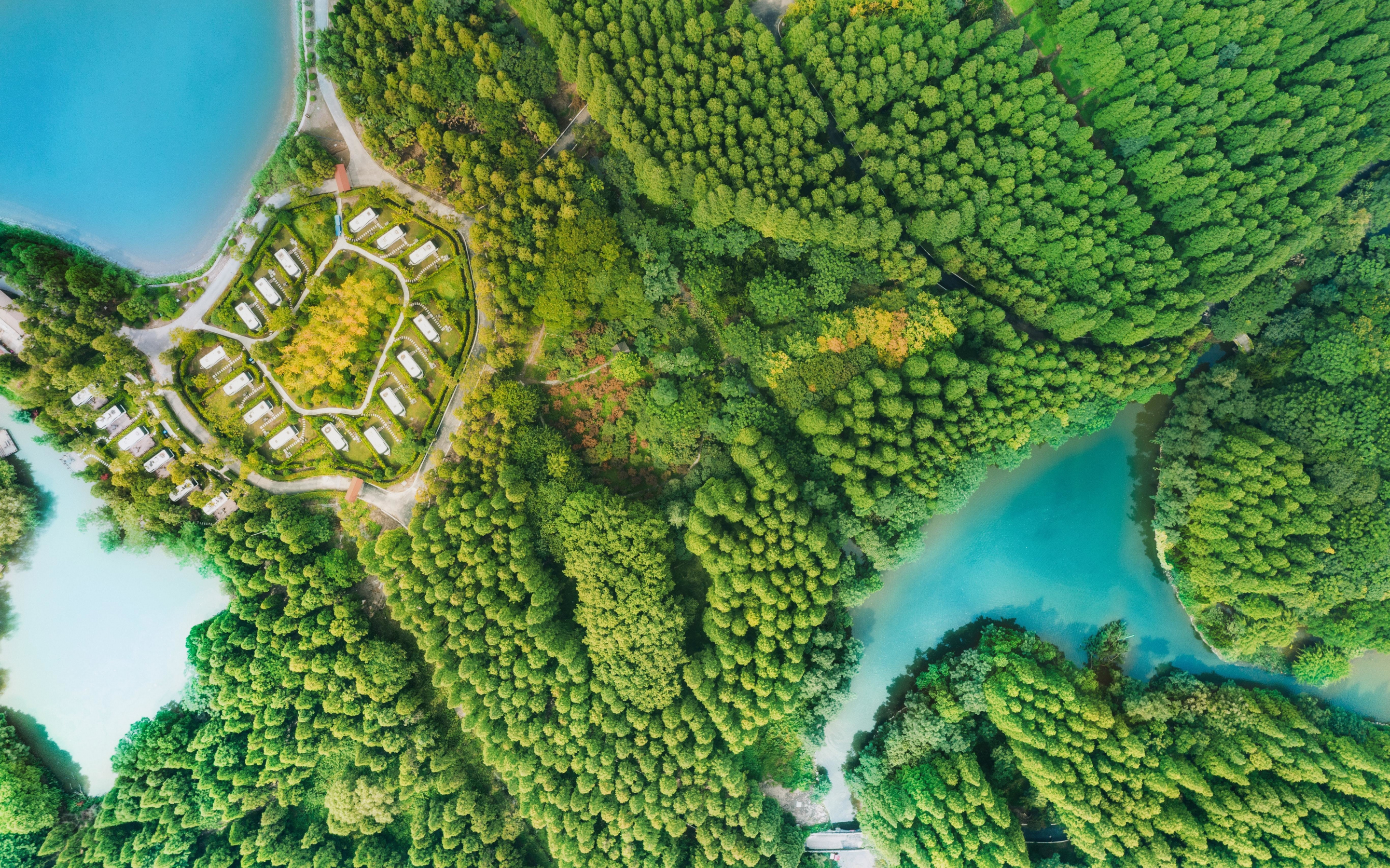 Coast, aerial view, green trees, nature, 2880x1800 wallpaper