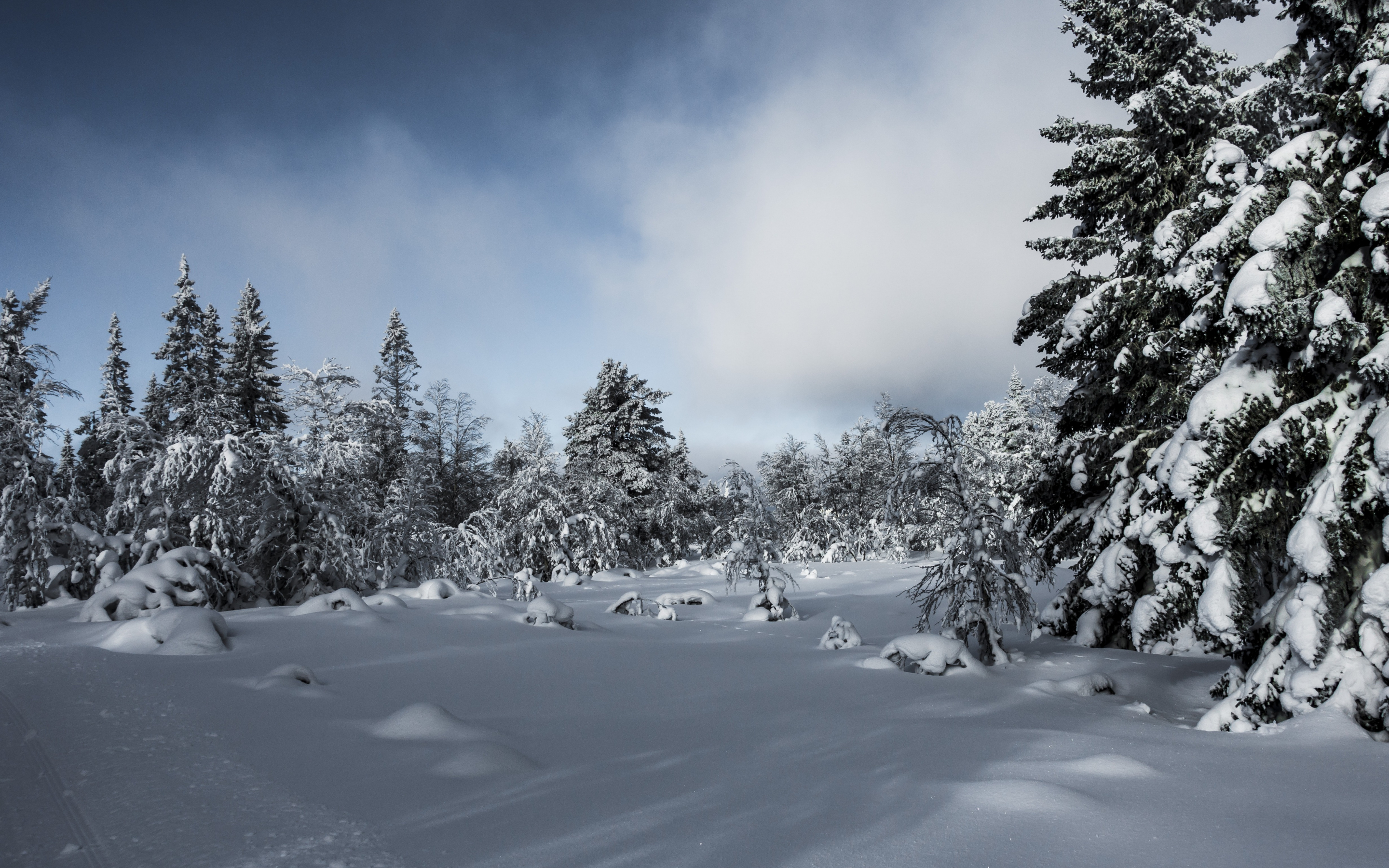Landscape, snow layer, winter, tree, 2880x1800 wallpaper