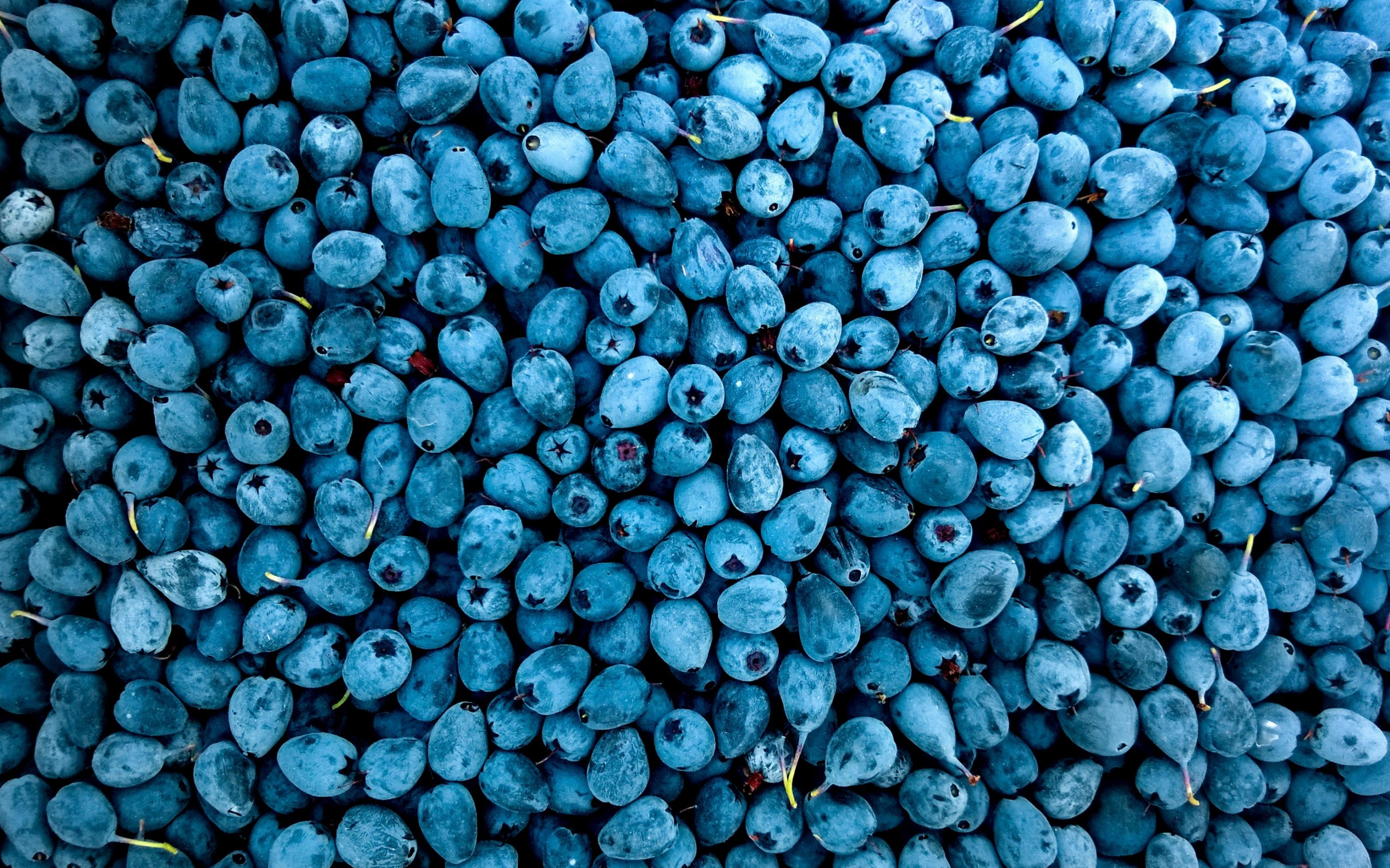 Abundance, fruit, blueberries, 2880x1800 wallpaper