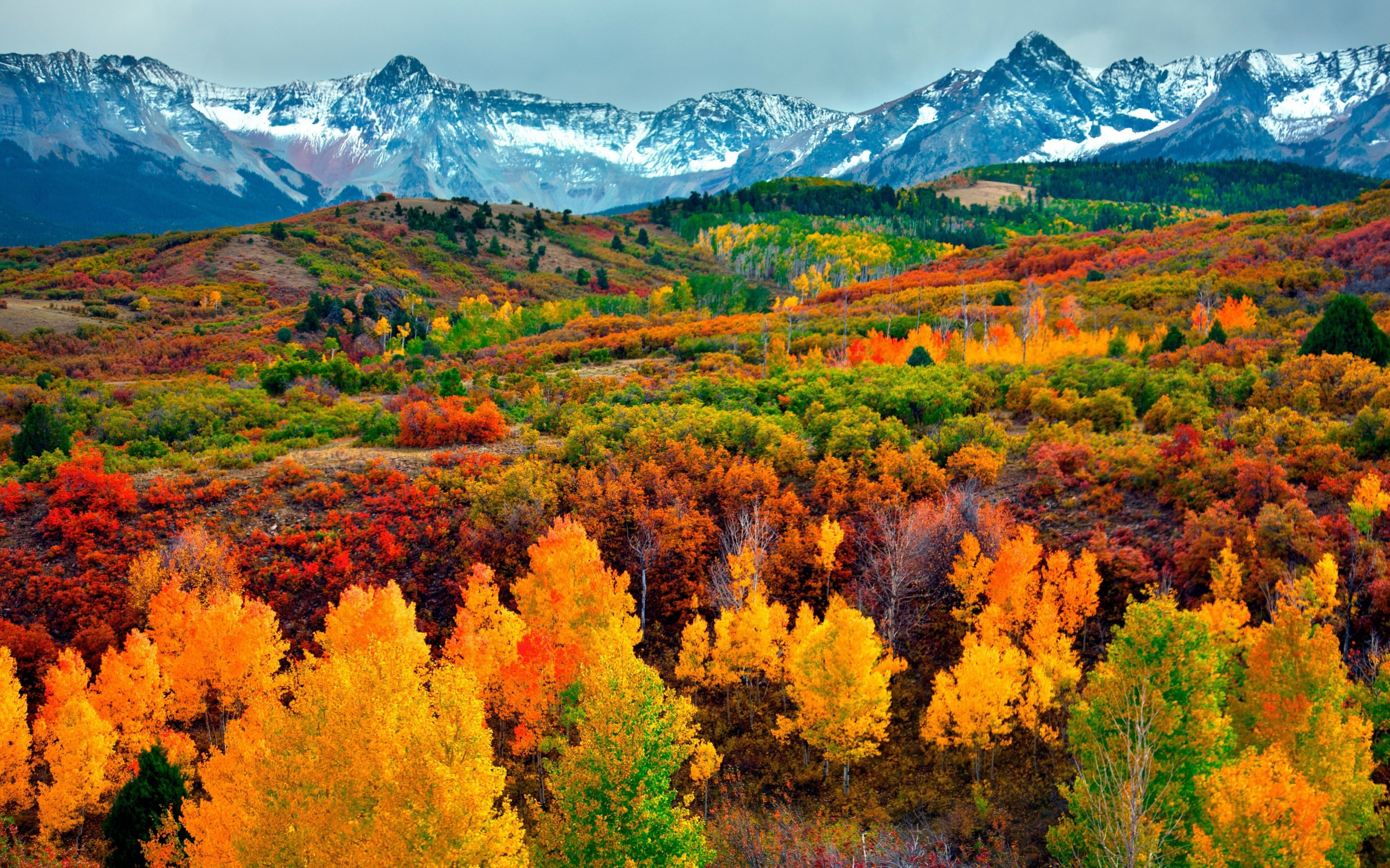 Autumn season, trees, mountains, horizon, nature, 2880x1800 wallpaper