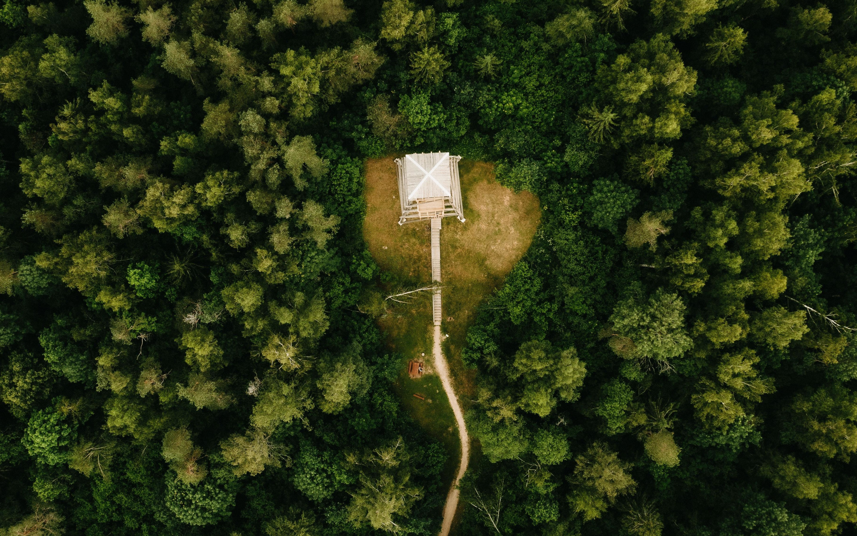 Hut, aerial view, road in forest, green trees, 2880x1800 wallpaper