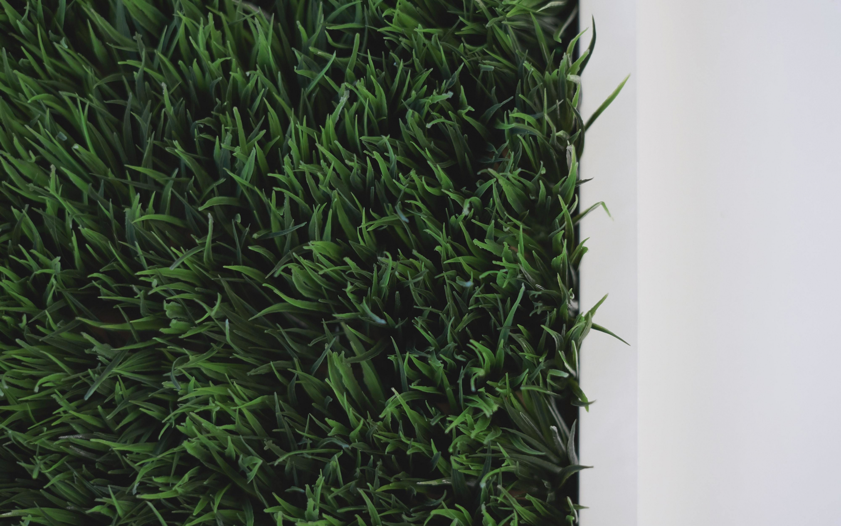Grass, green, cube, indoor, close up, 2880x1800 wallpaper
