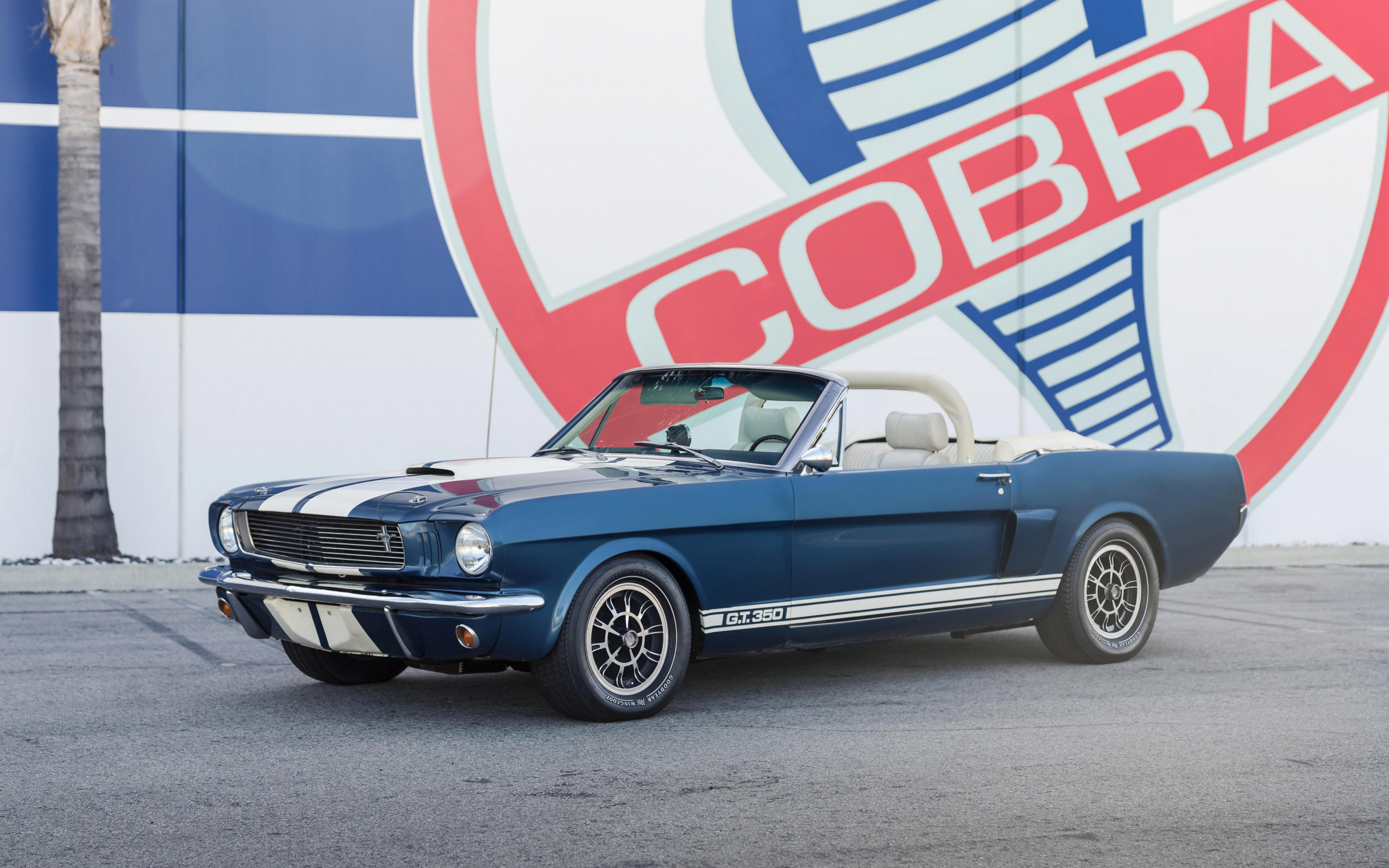 1965 Continuation Shelby GT350, continuation series, convertible, 2880x1800 wallpaper