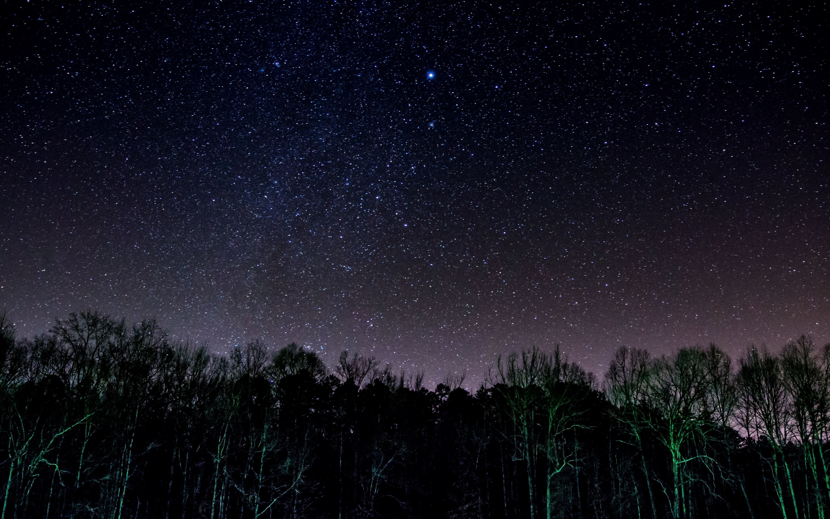 Download Starry night, stars, sky, trees 2880x1800 wallpaper, Mac Pro Retai...
