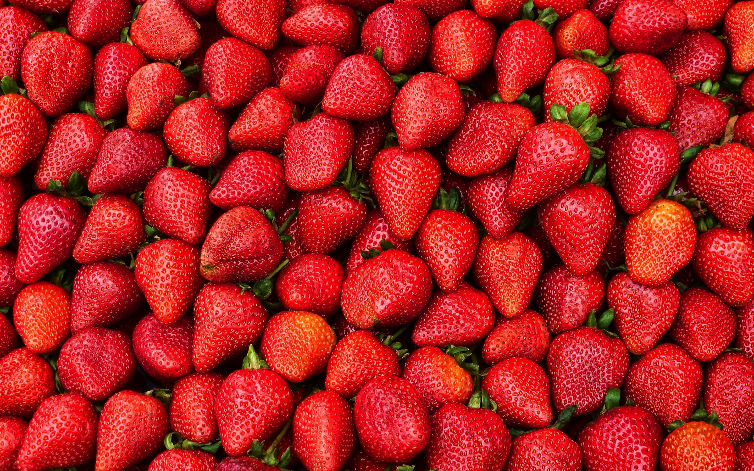 Strawberries, berries, fruit, red, 2880x1800 wallpaper