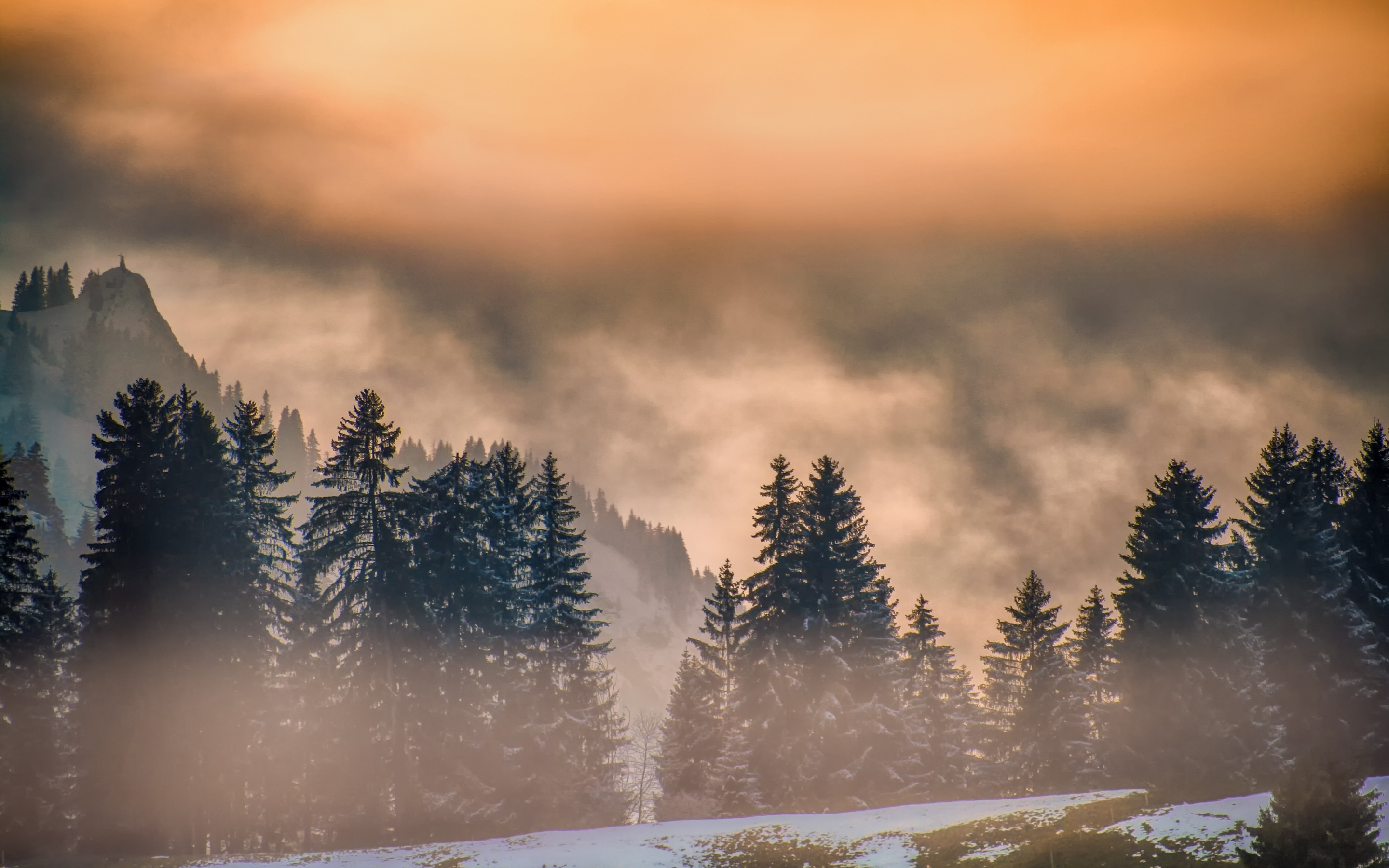 Fog, tree, dawn, sunrise, 2880x1800 wallpaper
