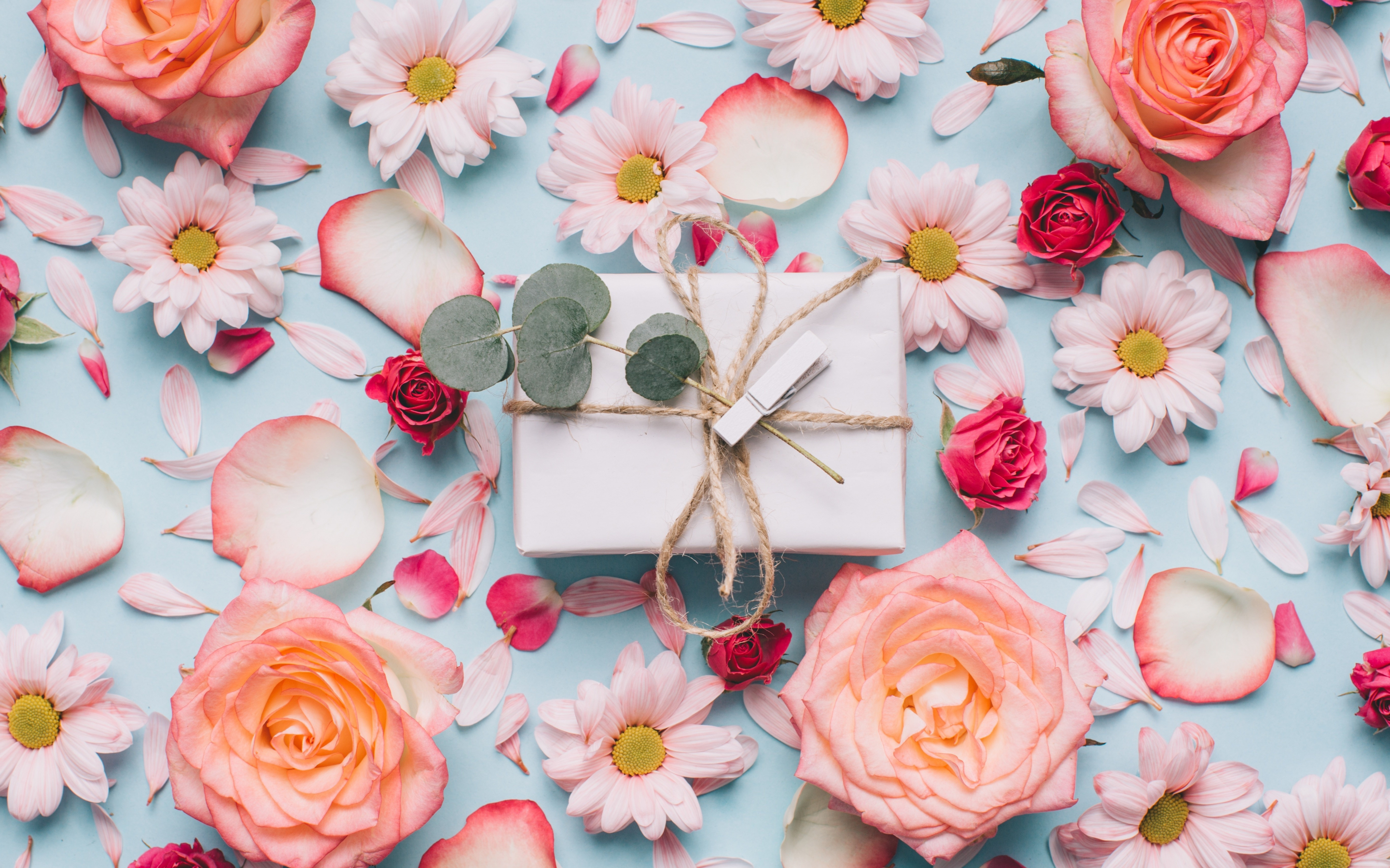 Flowers, roses, petals, gift box, 2880x1800 wallpaper