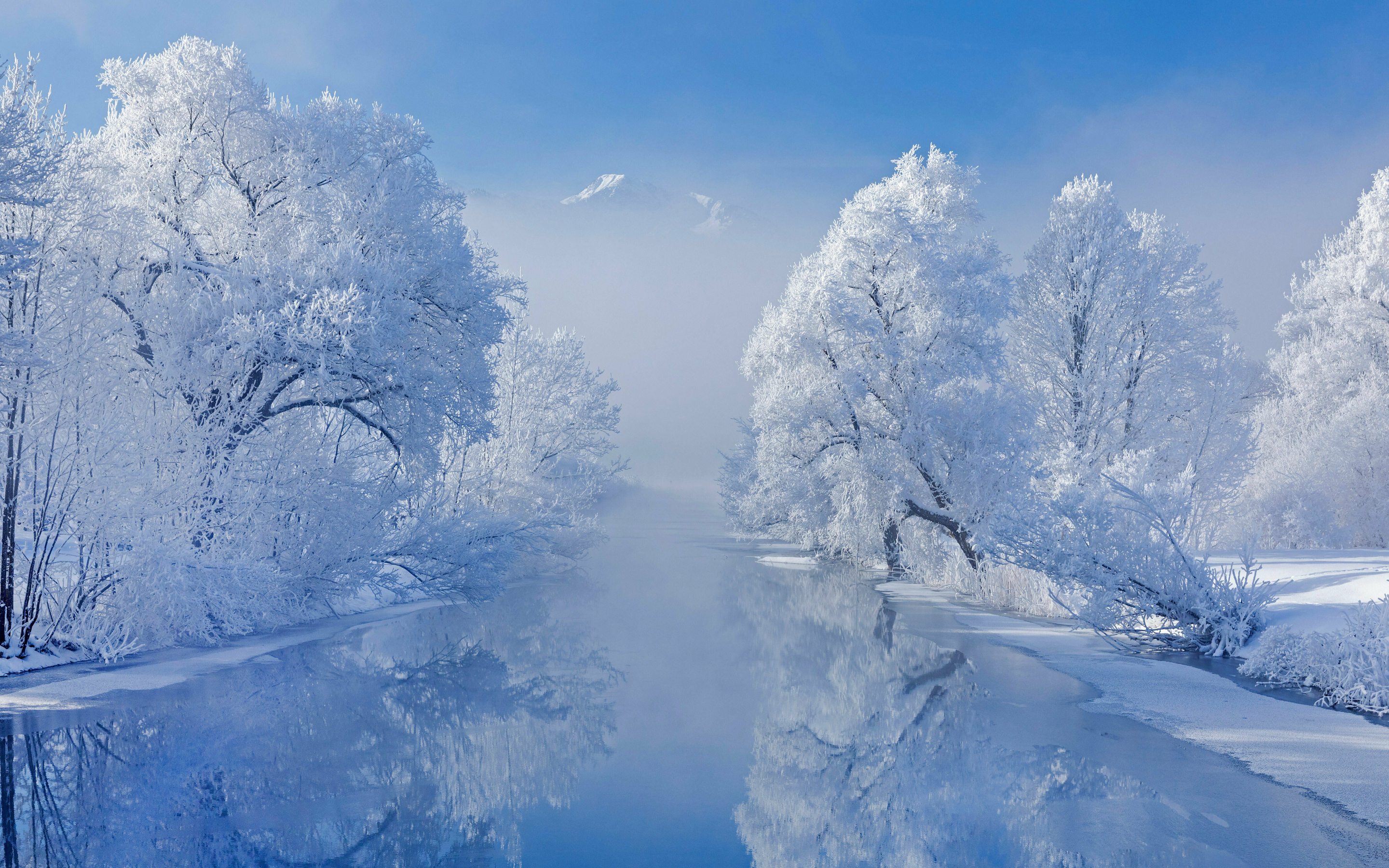 Winter, frozen lake and trees, nature, 2880x1800 wallpaper