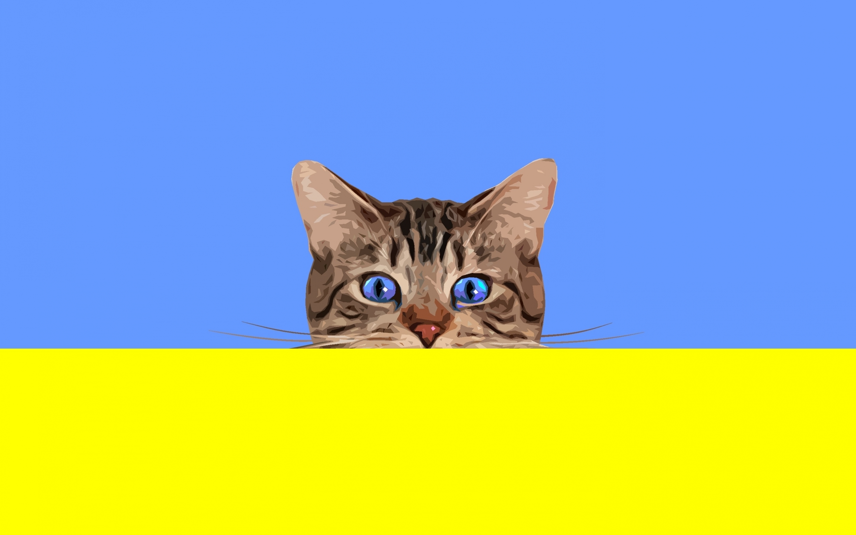 Cat, muzzle, blue eyes, minimal, art, 2880x1800 wallpaper