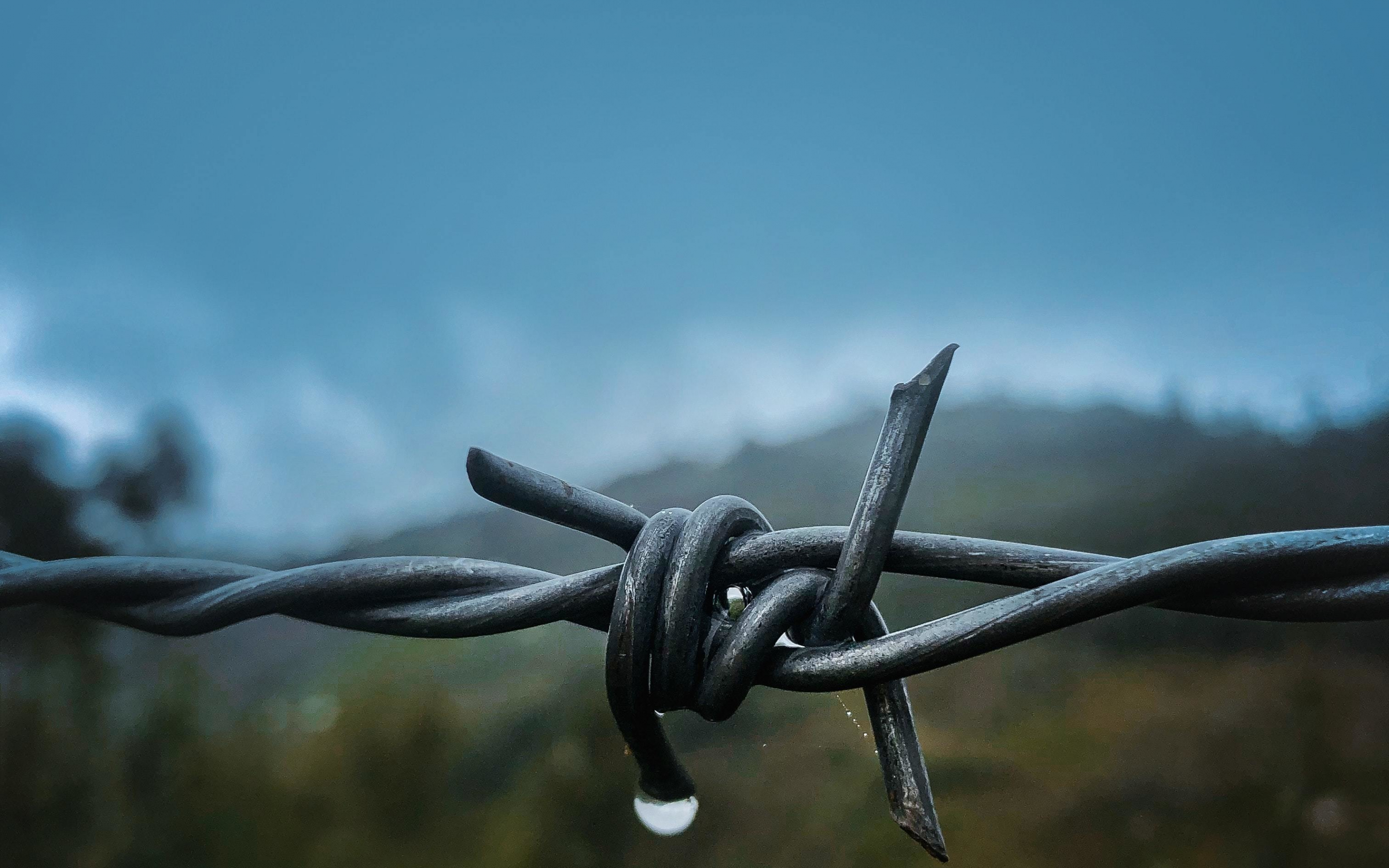 Close up, Barbed wire, 2880x1800 wallpaper