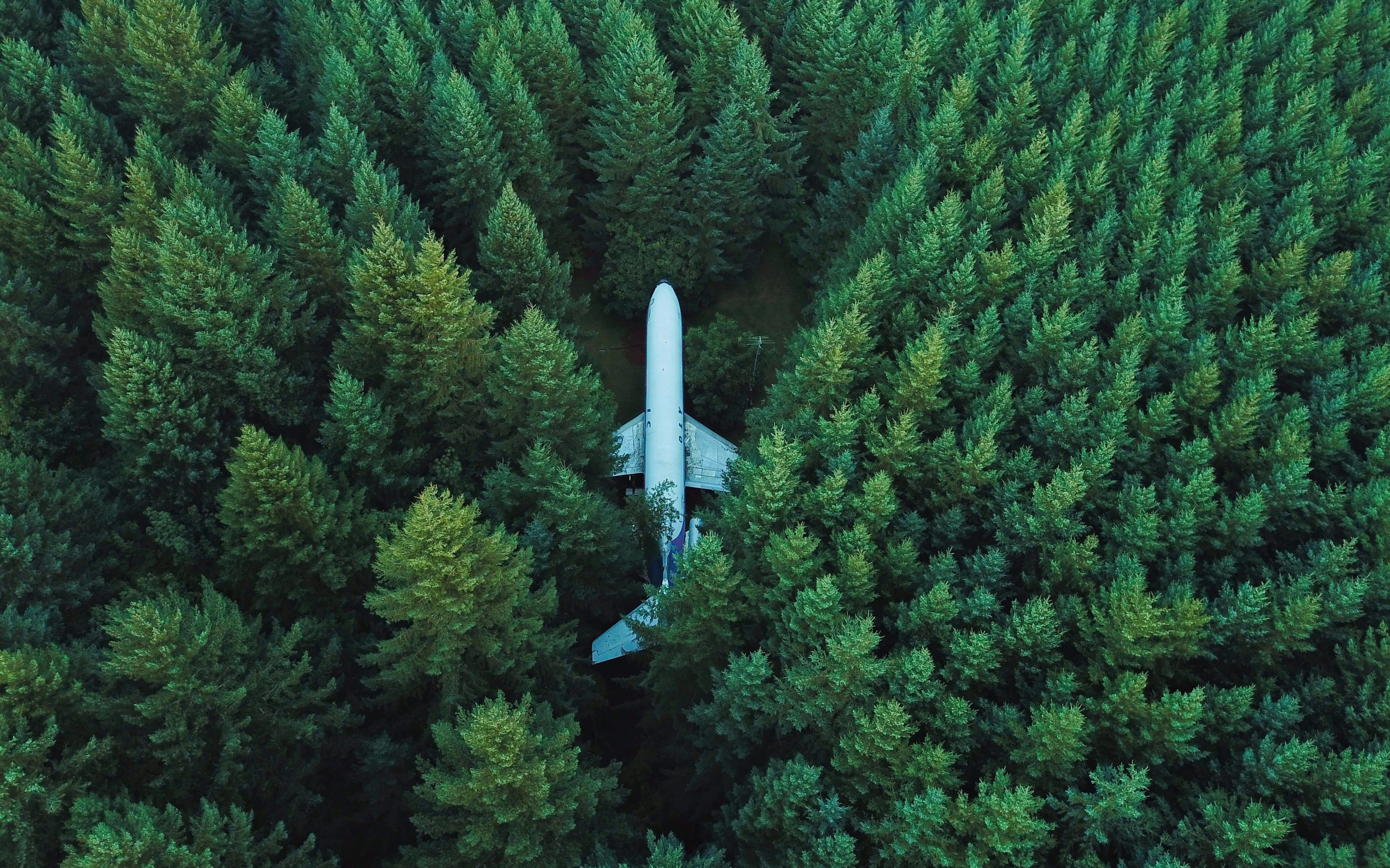 Airplane, aircraft, trees, aerial view, 2880x1800 wallpaper