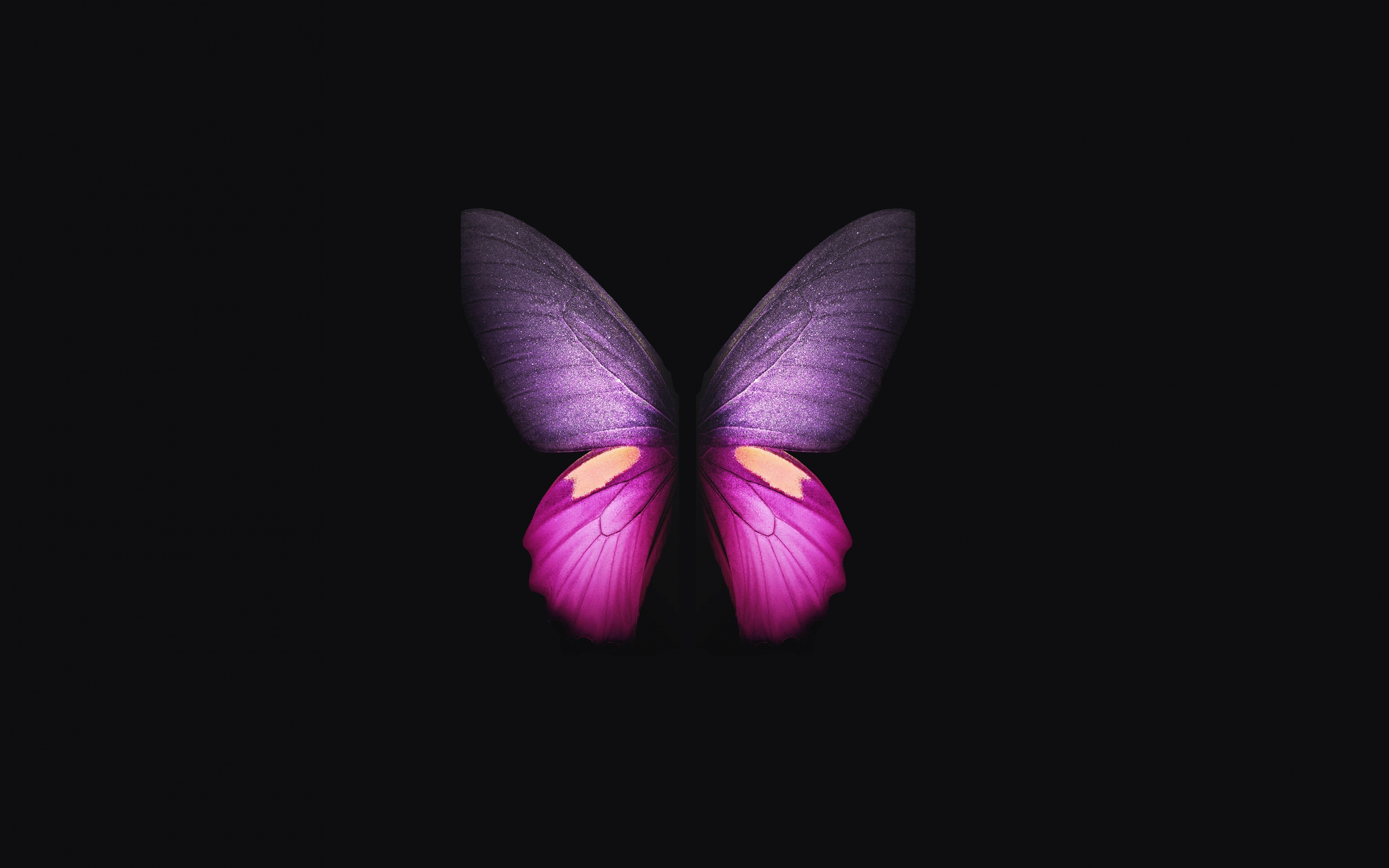 Samsung Galaxy Fold, pink-purple Butterfly, minimal, 2880x1800 wallpaper