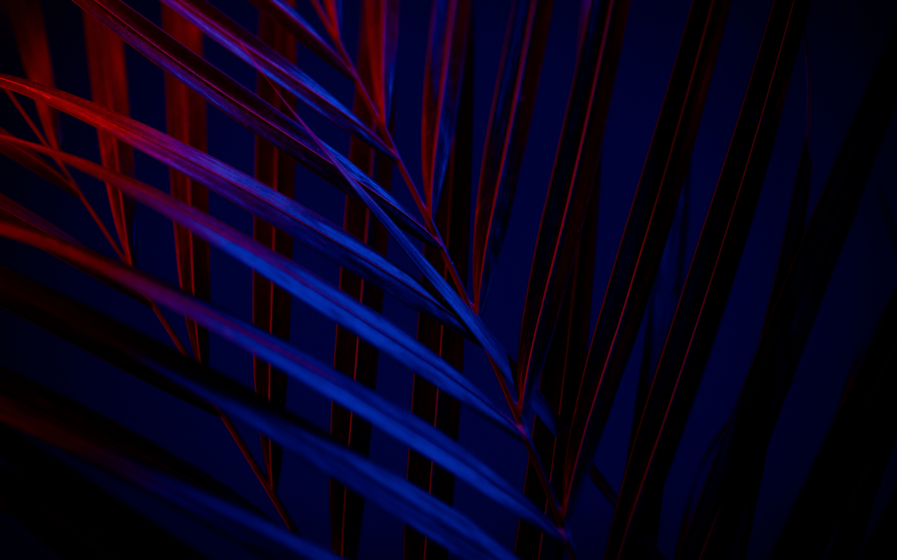 Leaves, blue-red, amoled glow, 2880x1800 wallpaper