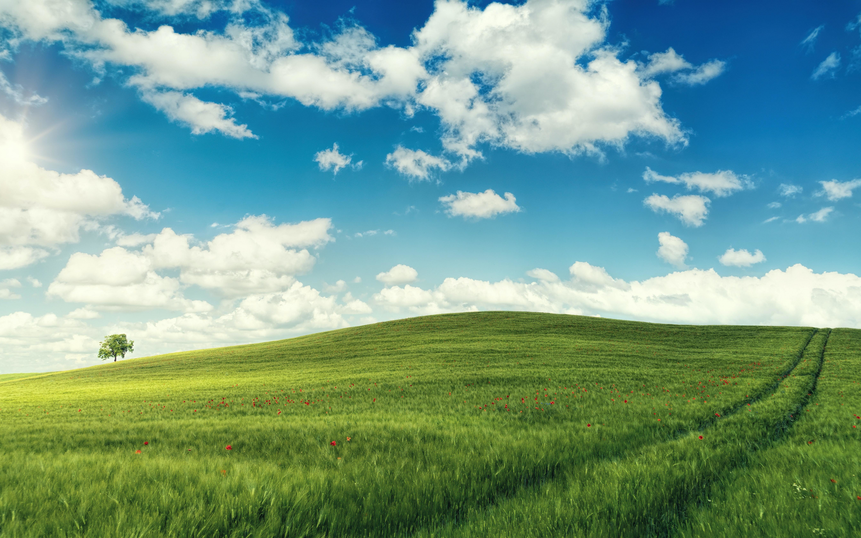 Green landscape, adorable, sunny day, 2880x1800 wallpaper