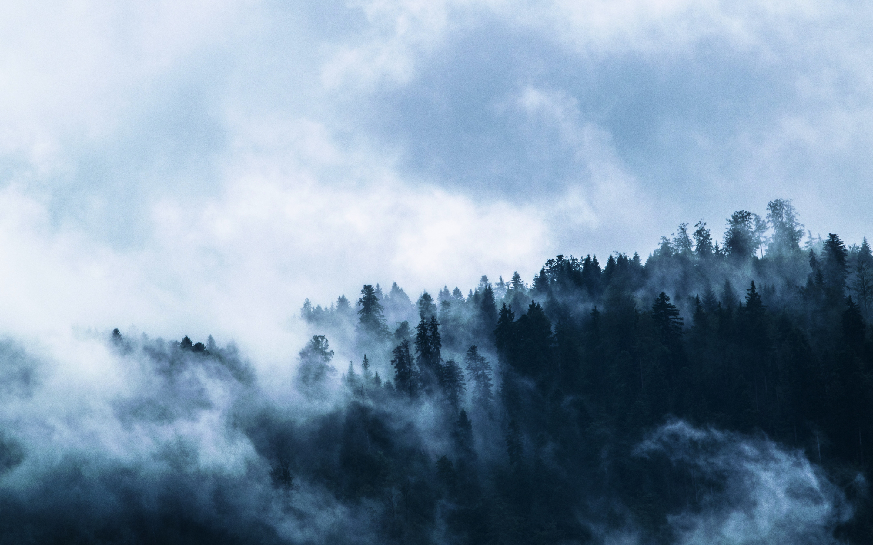 Fog, misty day, forest, horizon, 2880x1800 wallpaper