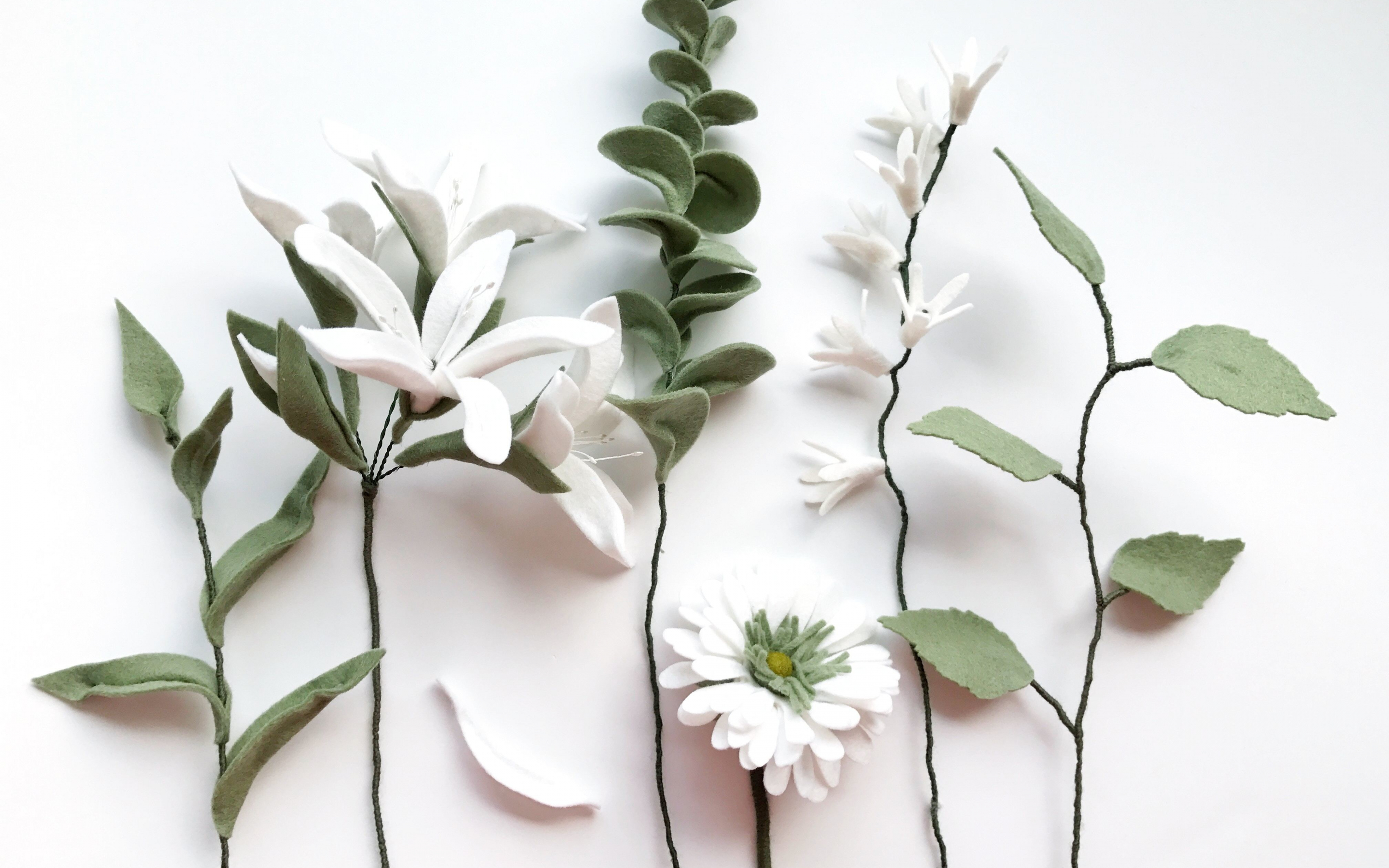 White flowers, green leaves, fresh, 2880x1800 wallpaper