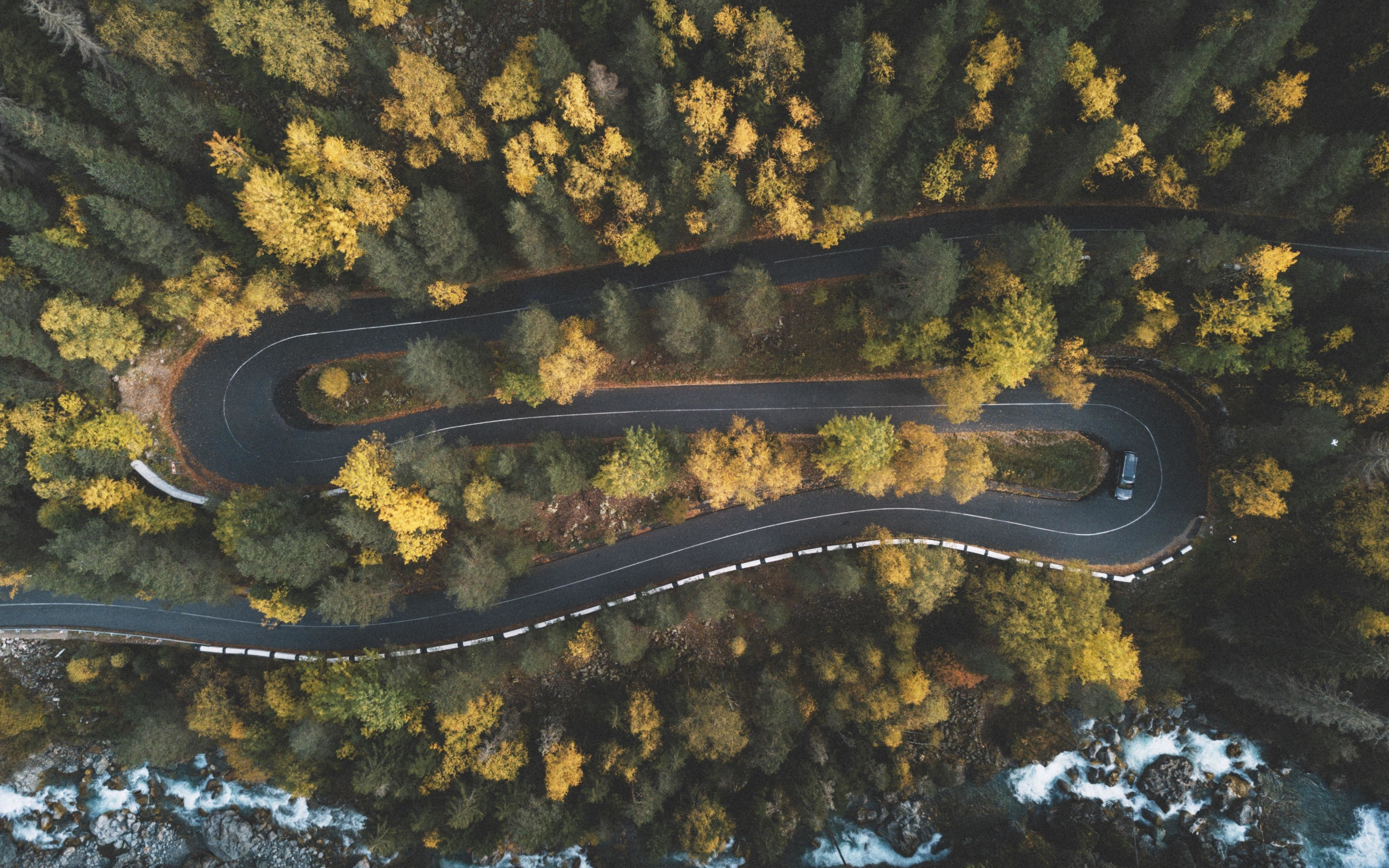 Curves, turns, highway, aerial view, green trees, nature, 2880x1800 wallpaper