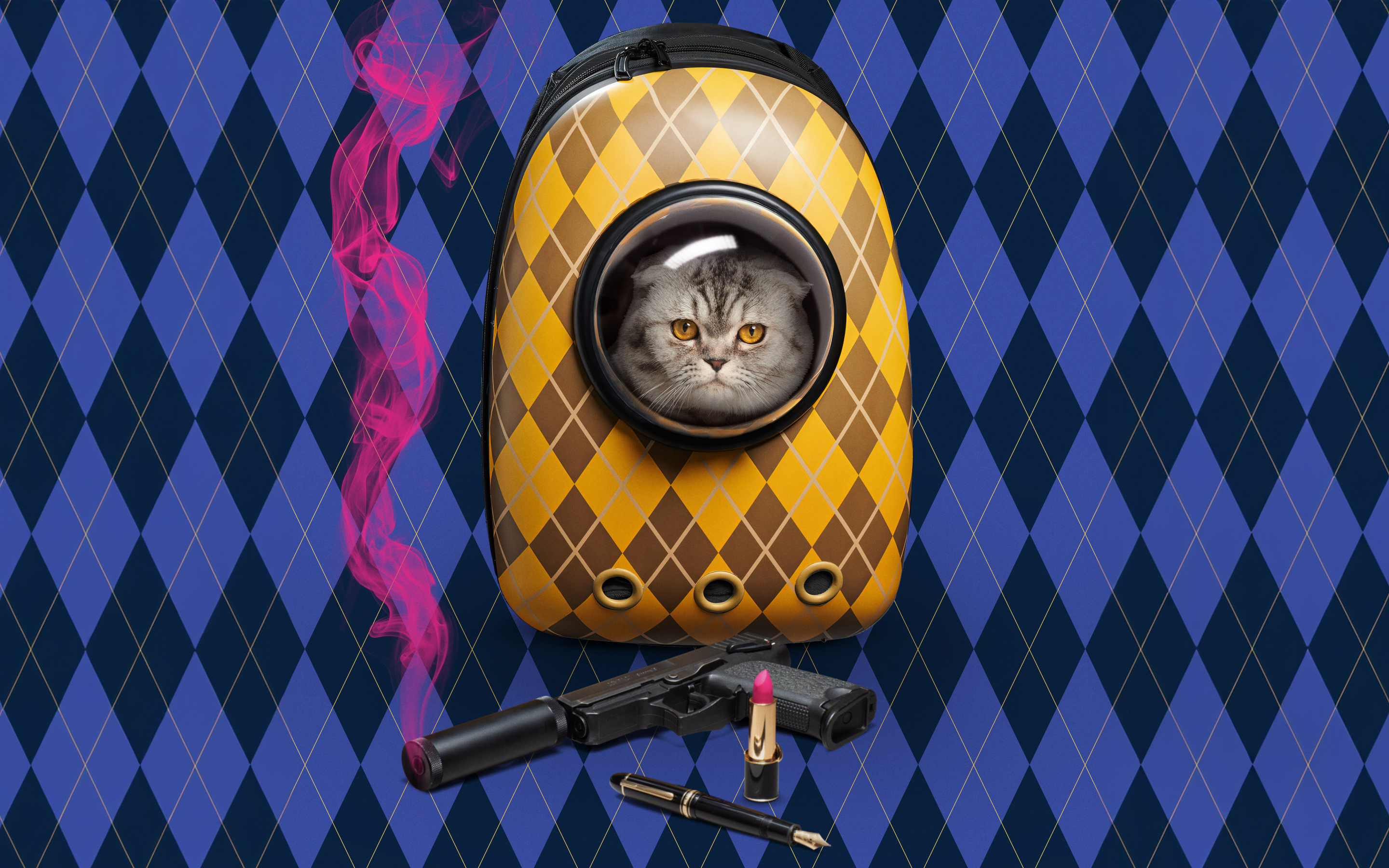 Argylle movie, cat in bag and gun, 2880x1800 wallpaper