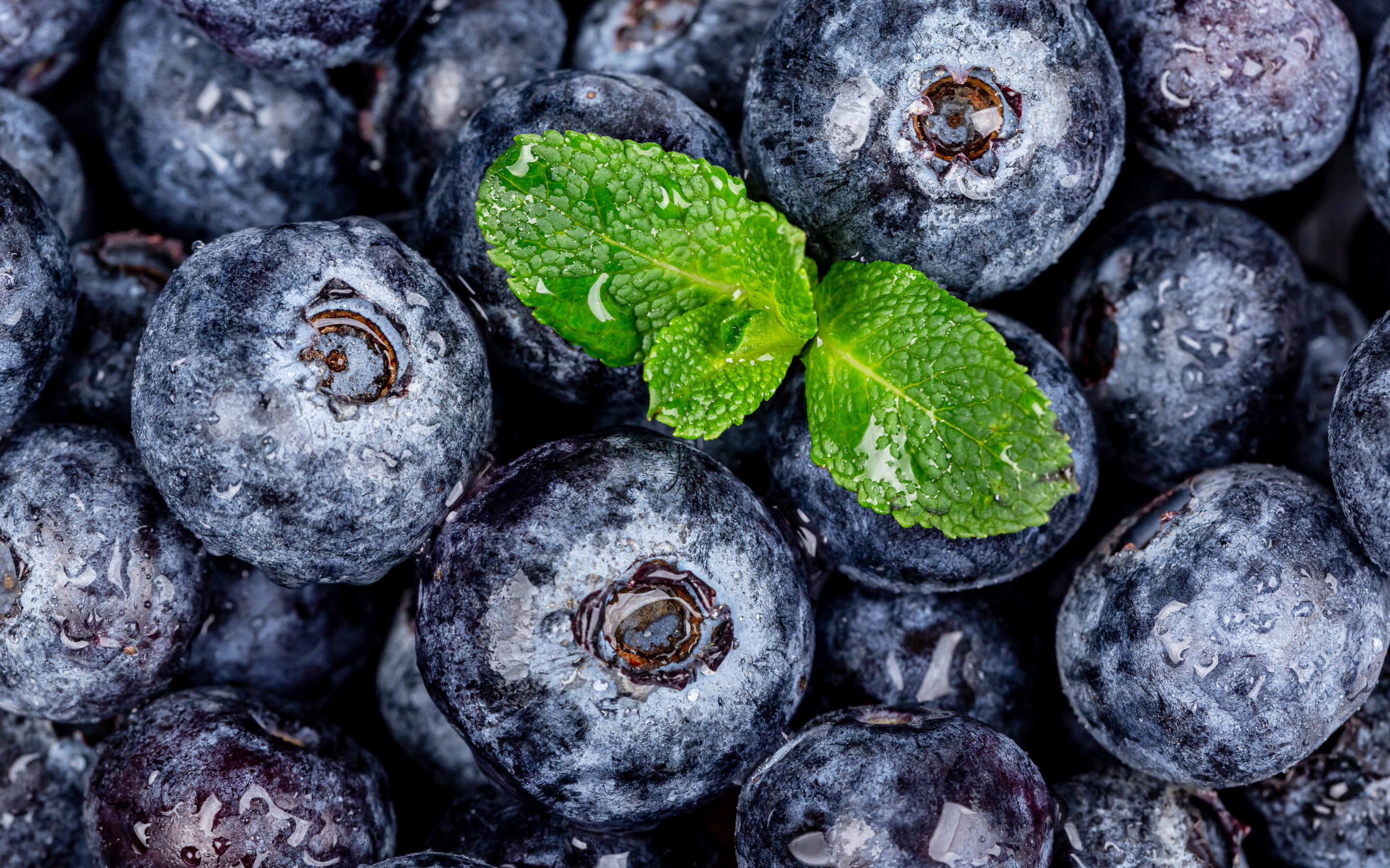 Blueberries, berries, green mint leaf, close up, 2880x1800 wallpaper
