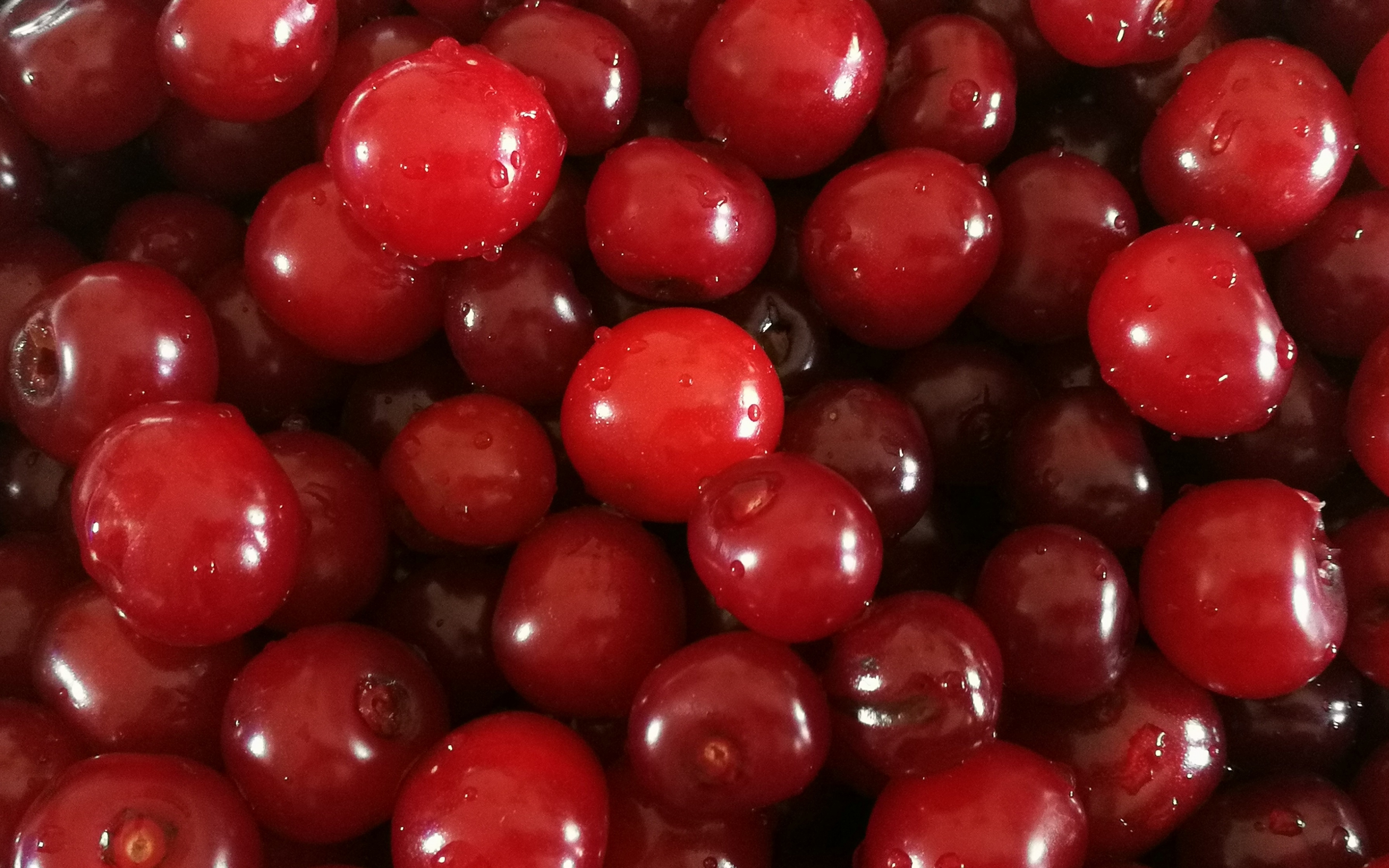 Cherry, fruits, fresh, water drops, red, 2880x1800 wallpaper