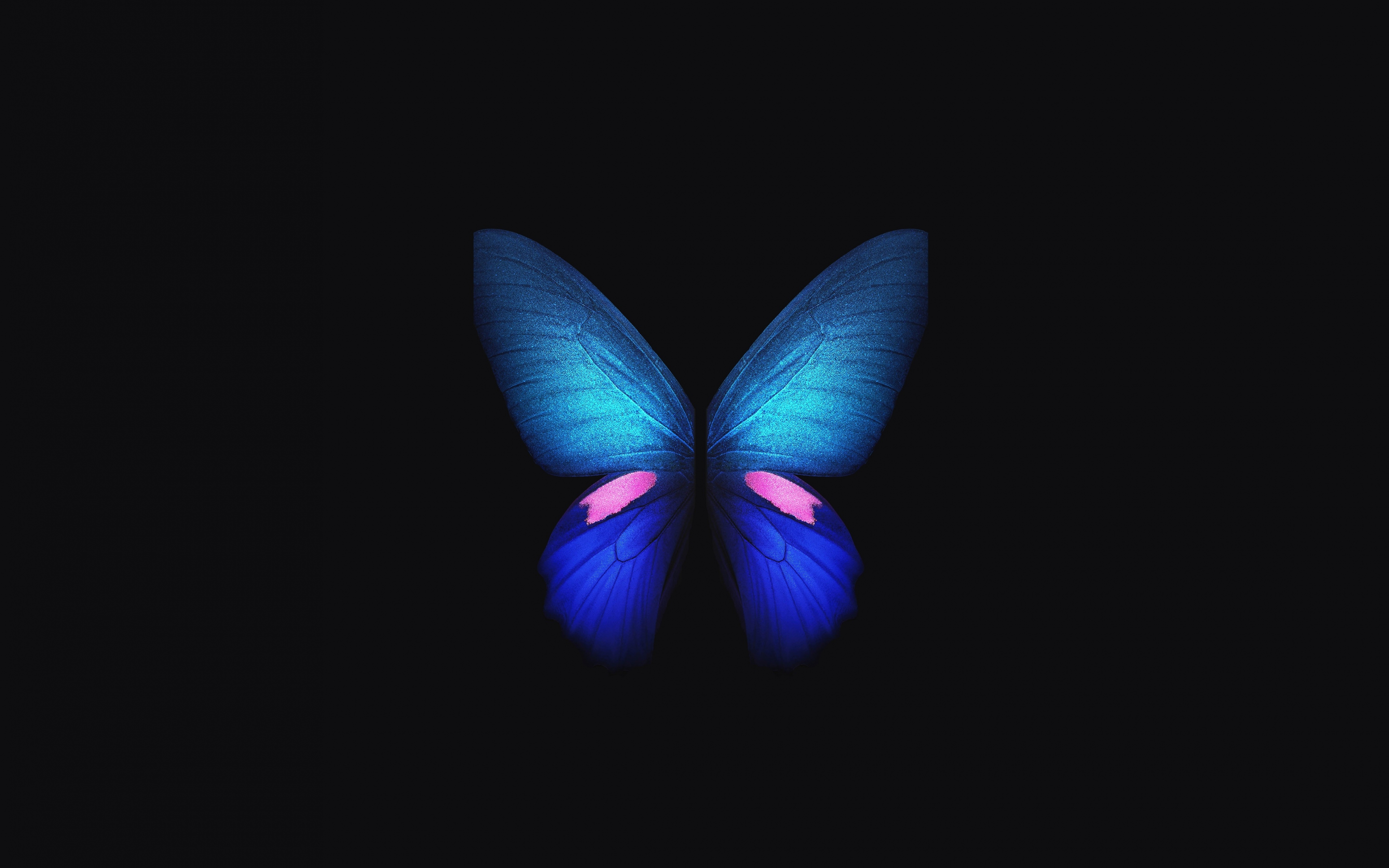 Samsung Galaxy Fold, Blue butterfly, minimal, art, 2880x1800 wallpaper