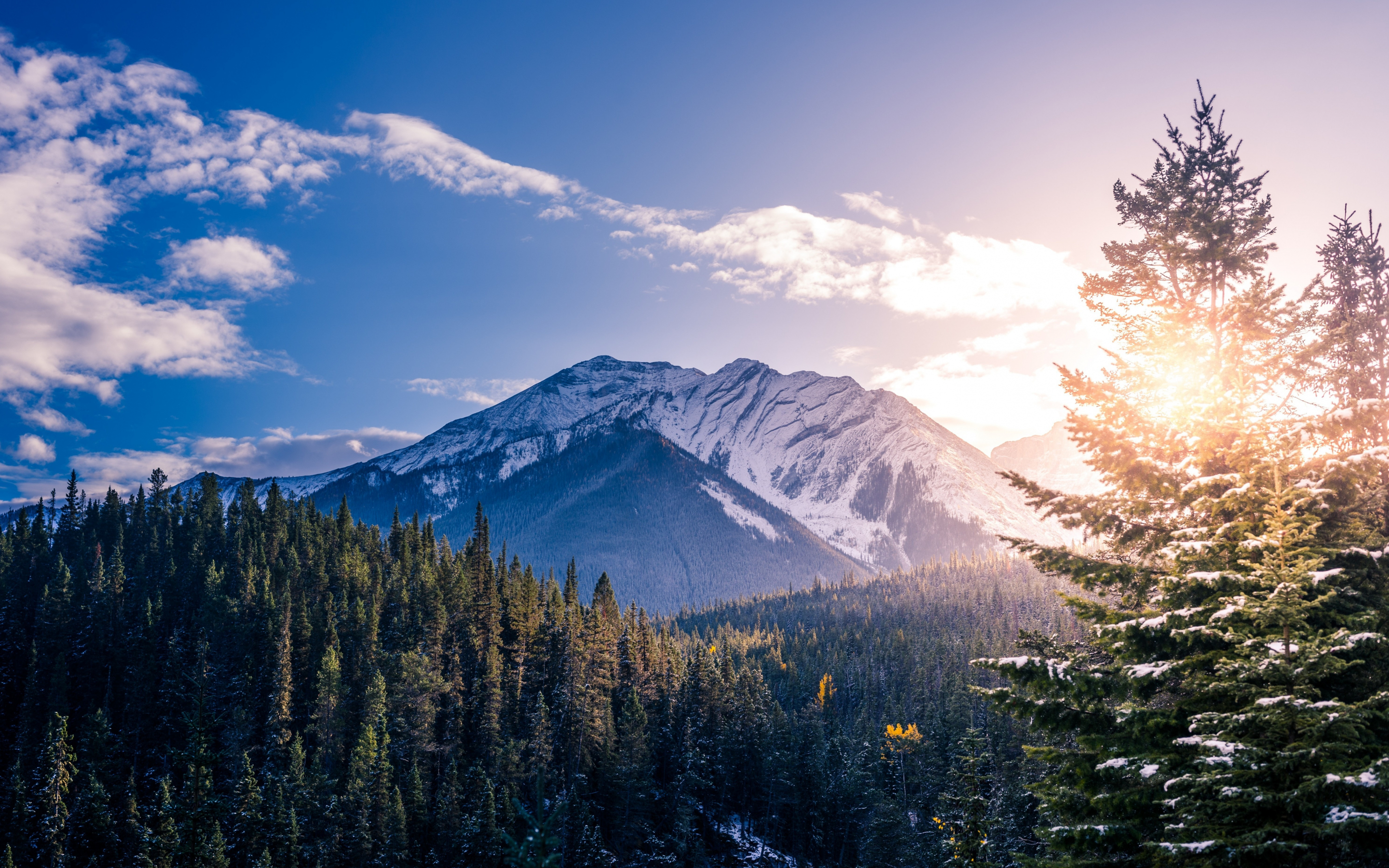 Banff National Park, mountains, forest, trees, sunlight, Canada, 2880x1800 wallpaper