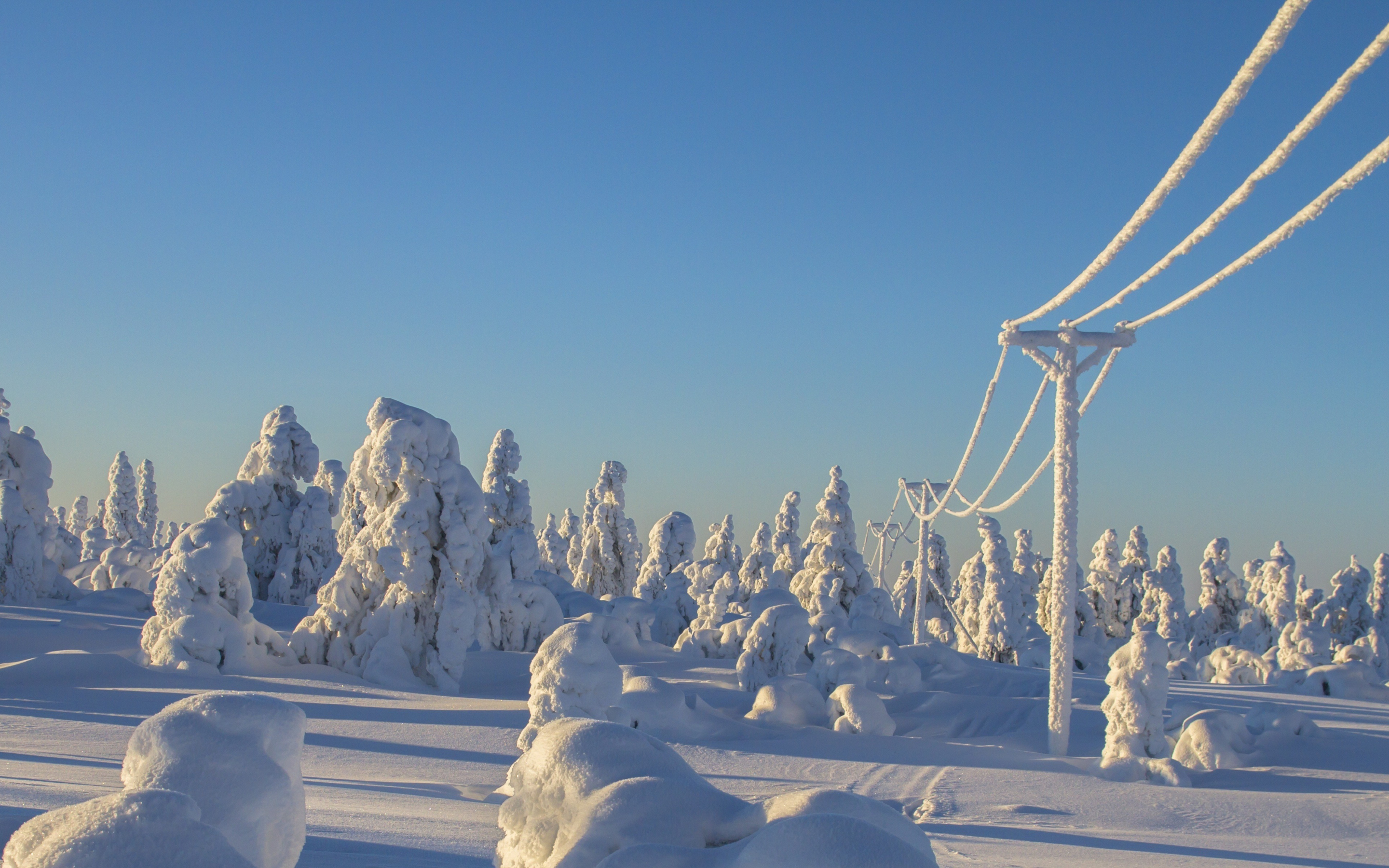 Winter, clean sky, trees, island, landscape, electric towers, snowfall, 2880x1800 wallpaper
