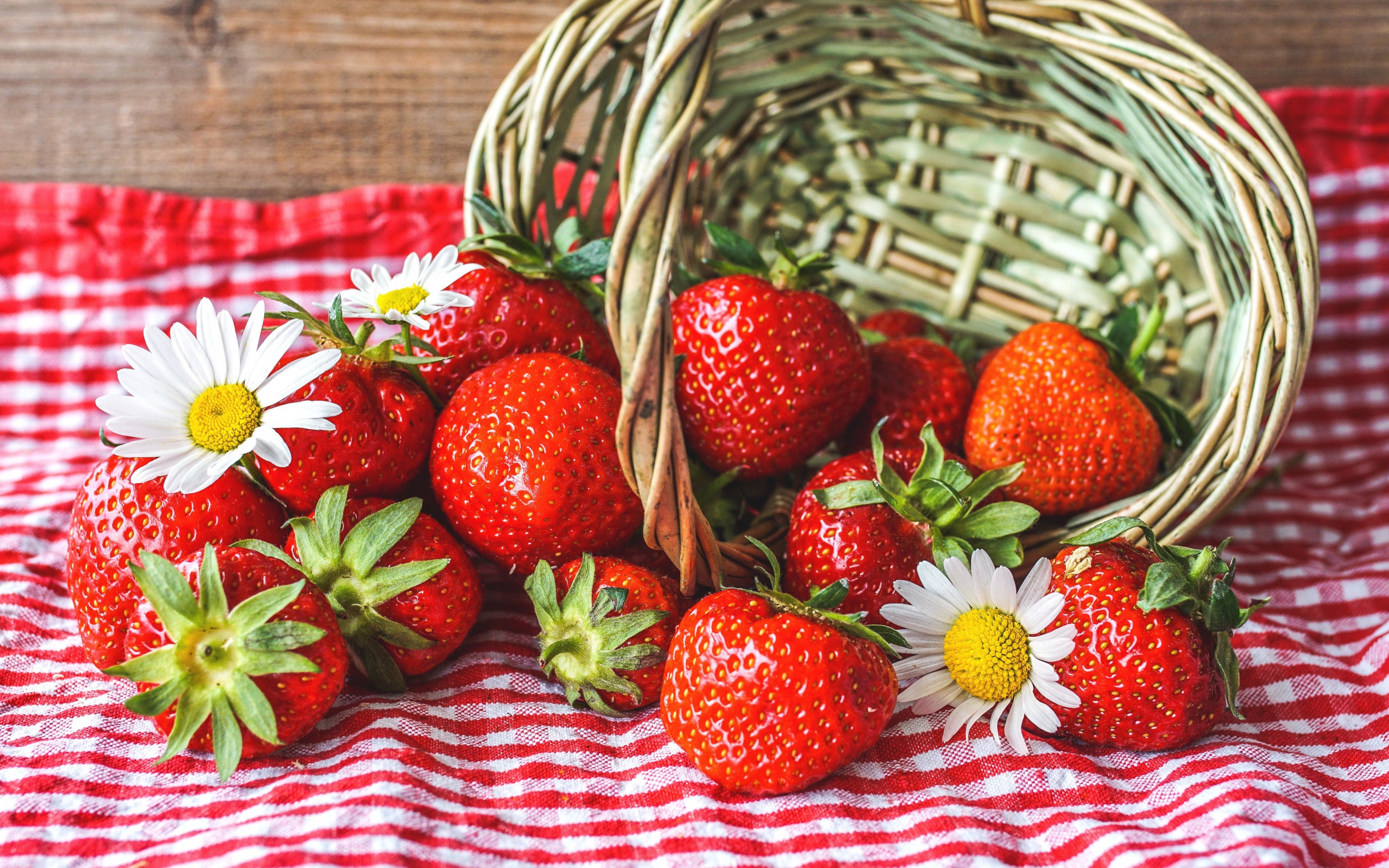 Fresh strawberries, daisies, basket, 2880x1800 wallpaper