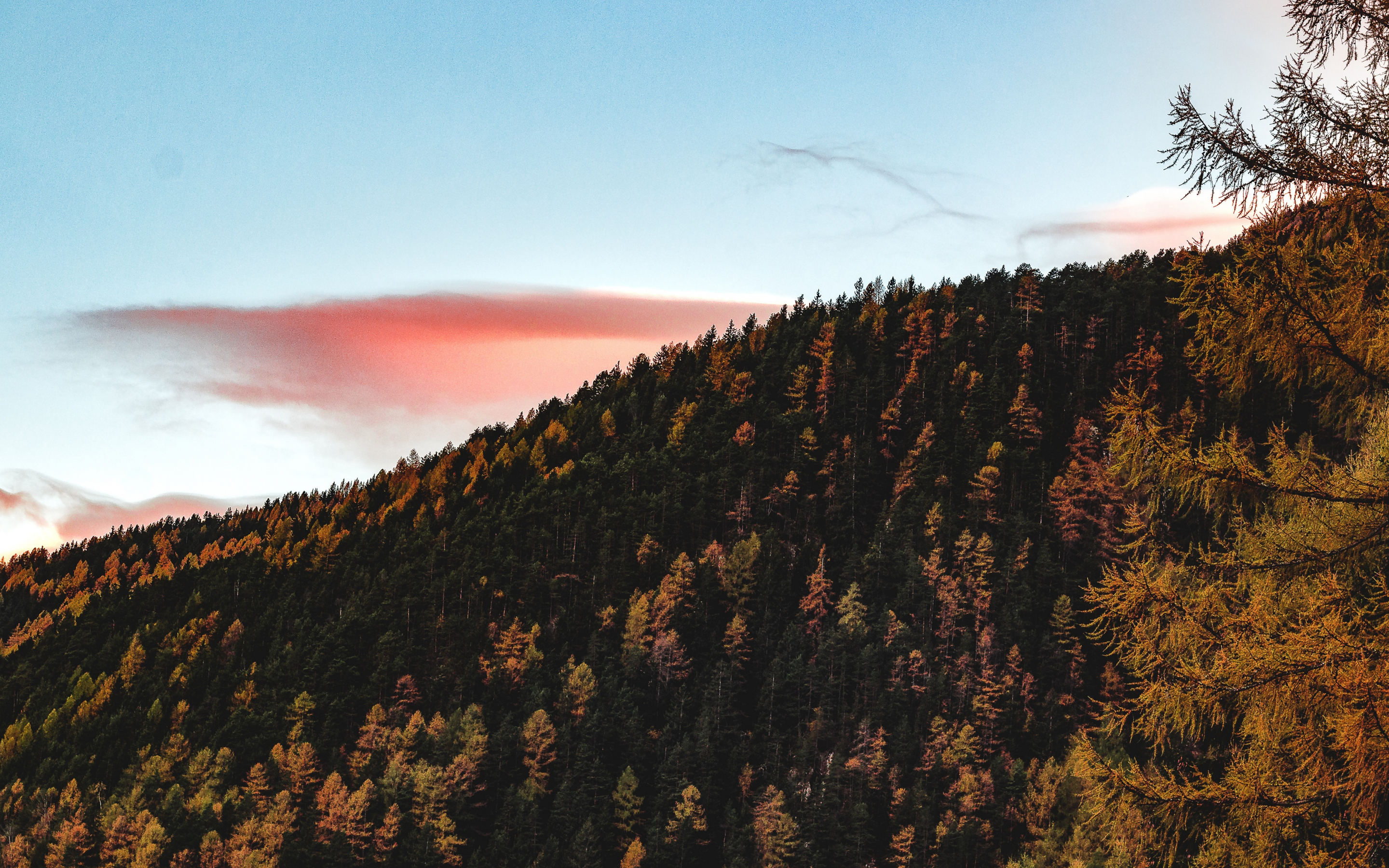 Trees, sky, autumn, hill, 2880x1800 wallpaper