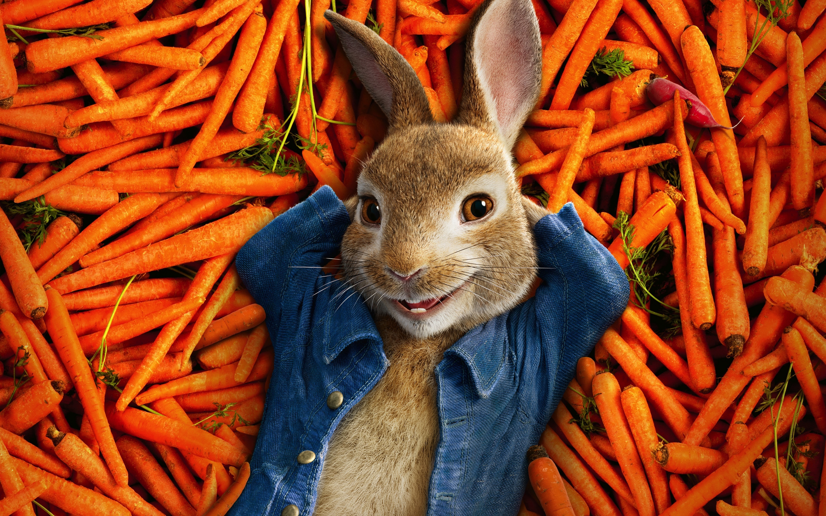 Peter rabbit, 2018, animation movie, 2880x1800 wallpaper