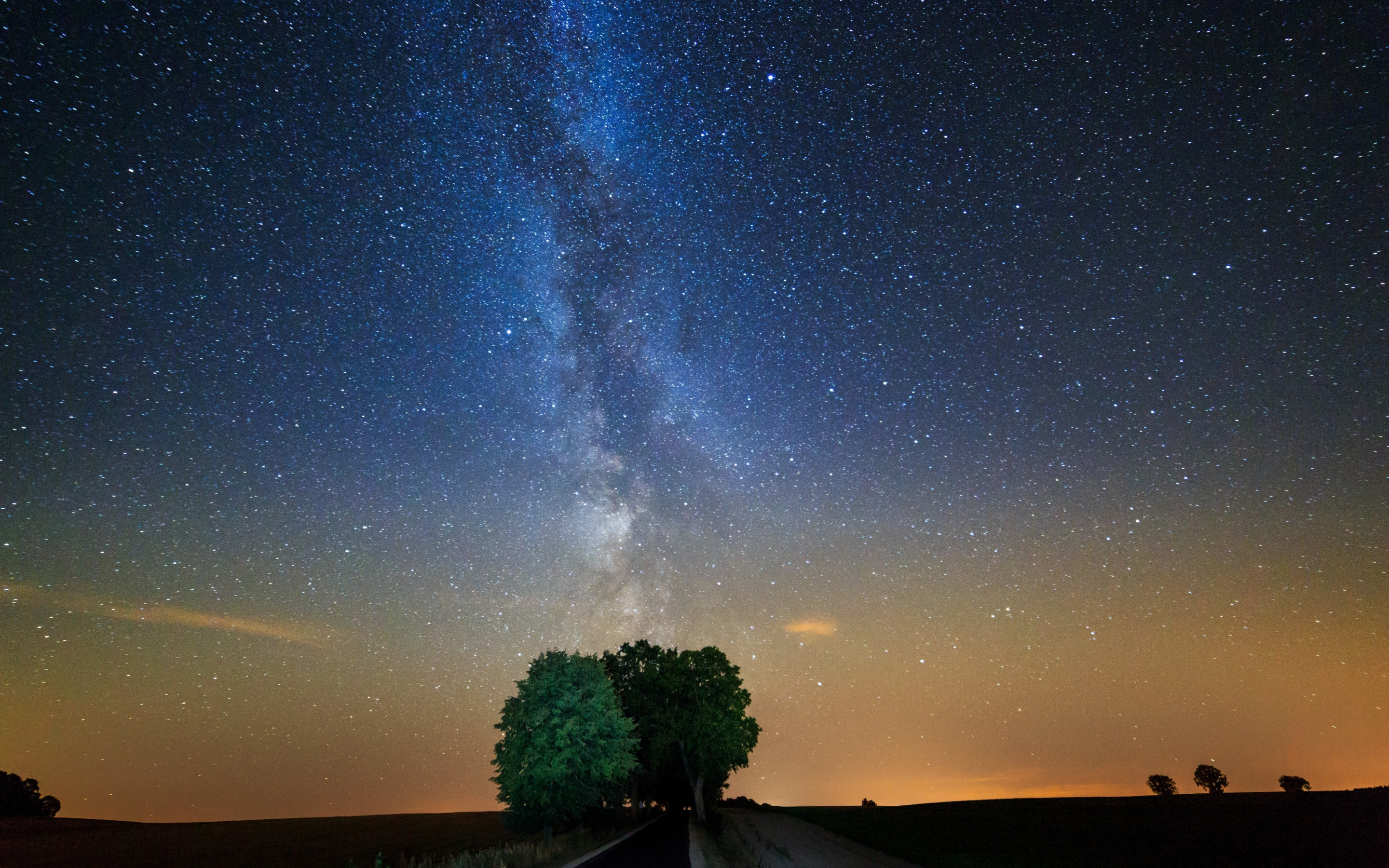 Tree, night, milky way, galaxy, stars, 2880x1800 wallpaper