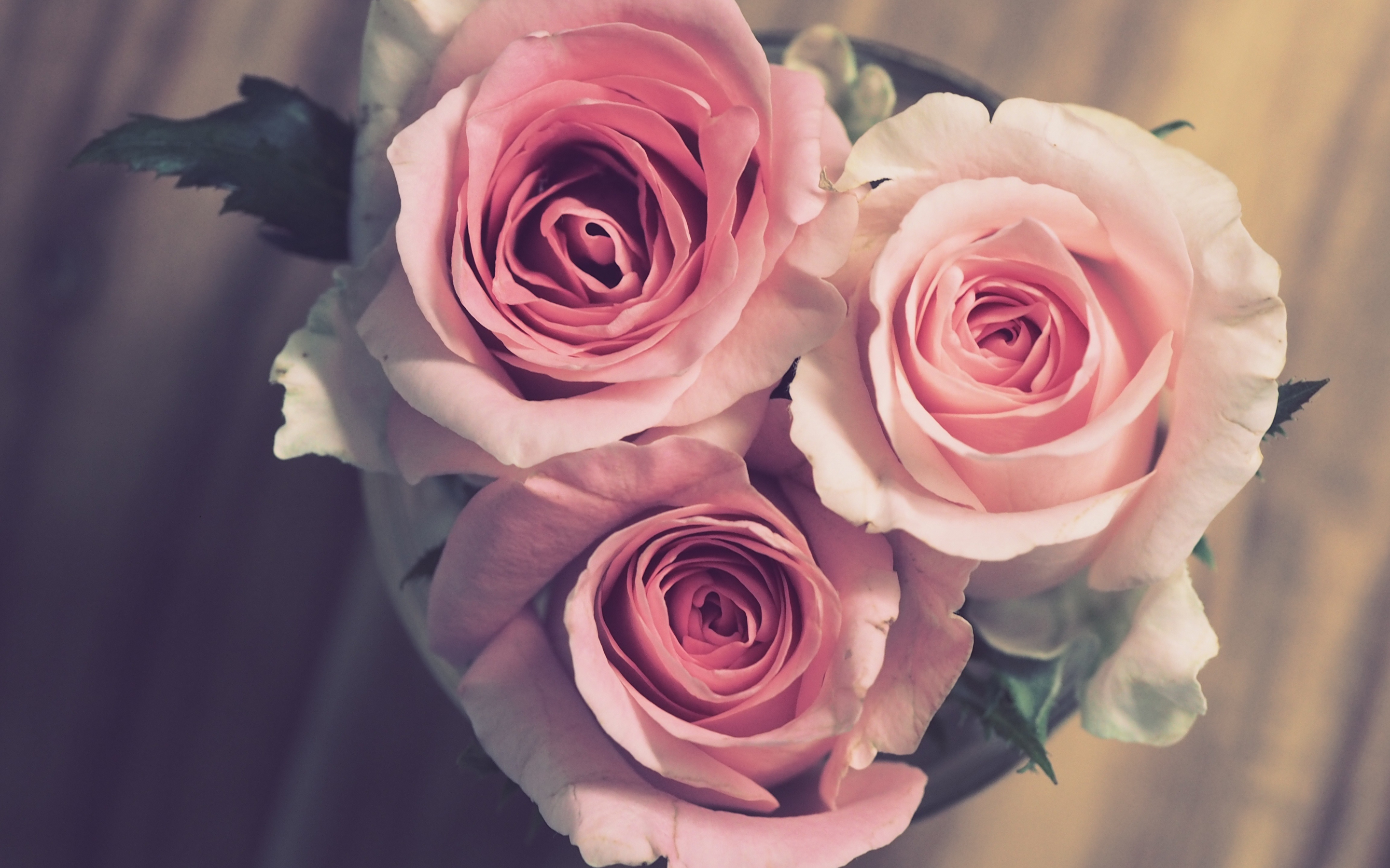 Bouquet, pink roses, bloom, 2880x1800 wallpaper