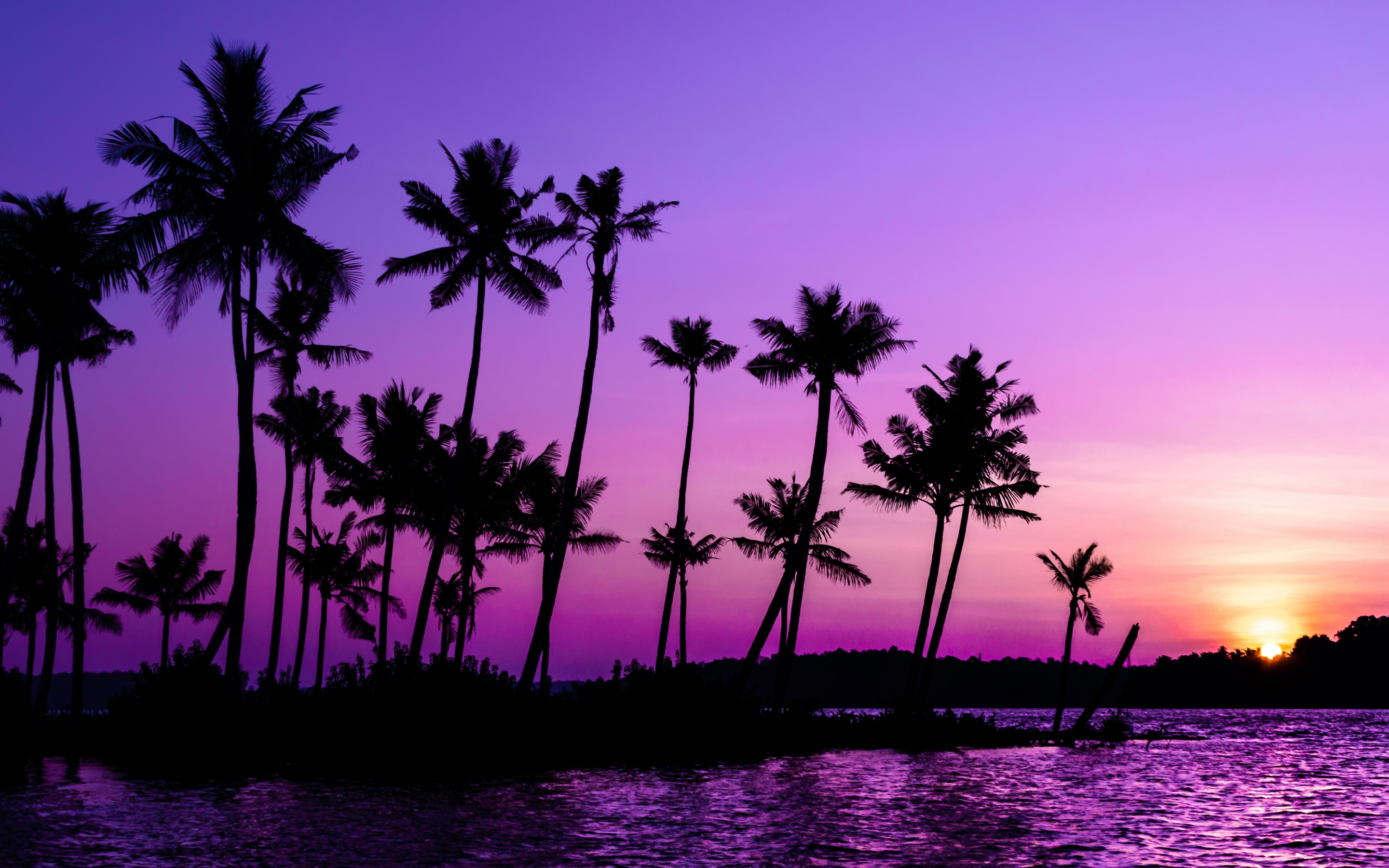Purple sky, palm trees, lake, 2880x1800 wallpaper