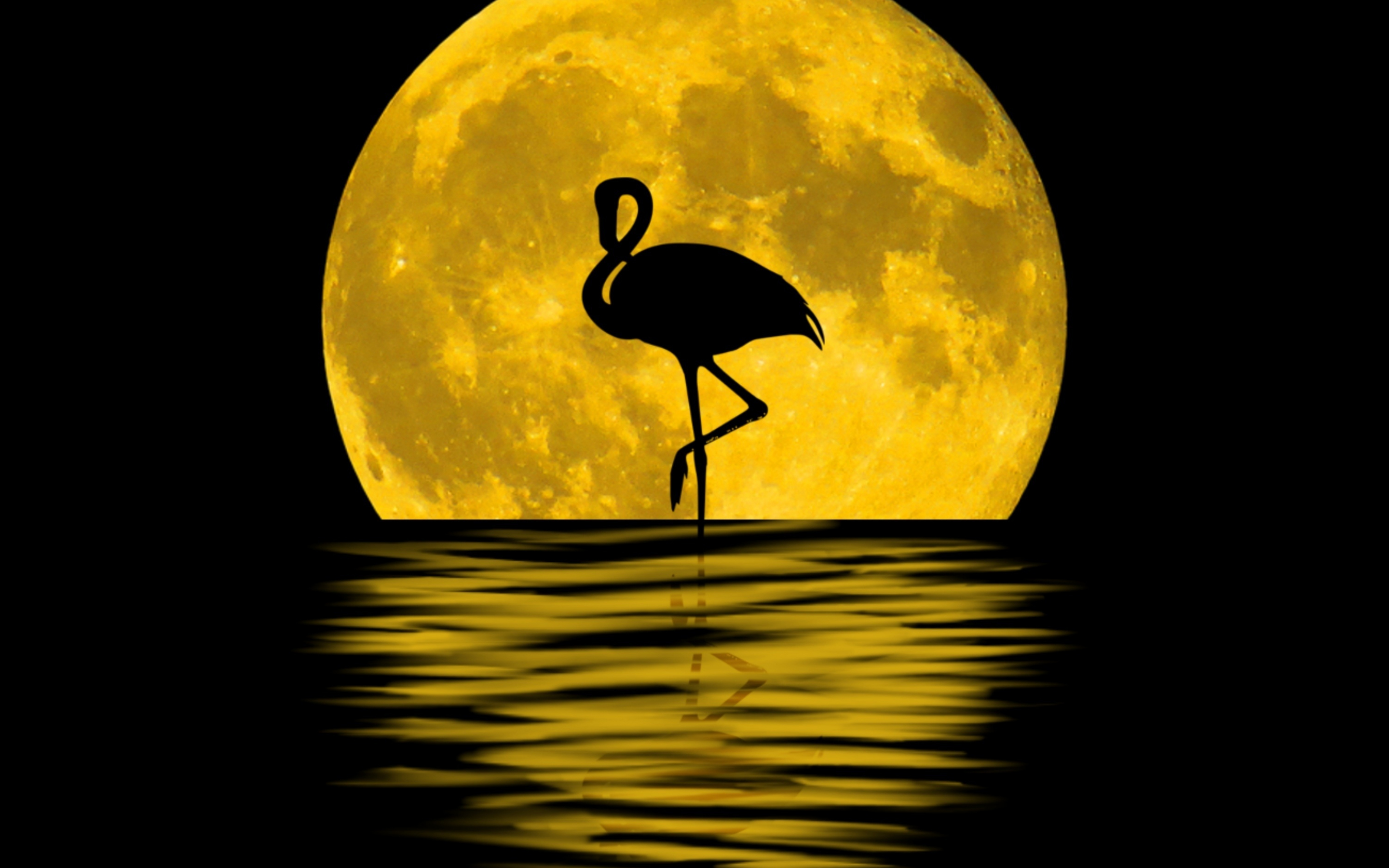 Flamingo, moon, silhouette, reflections, digital art, 2880x1800 wallpaper