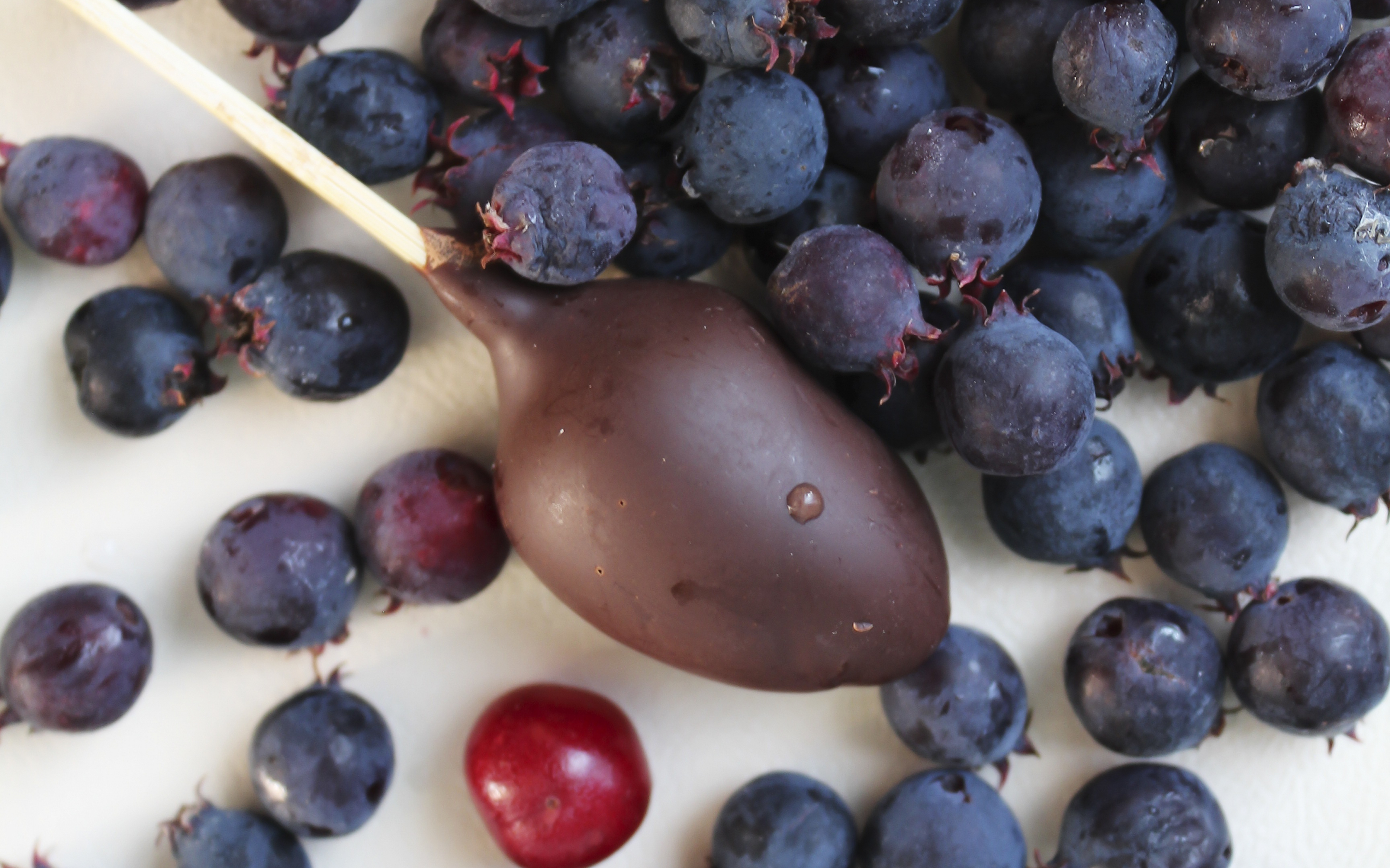 Blueberries, drops, chocolate lollipop, fresh, 2880x1800 wallpaper